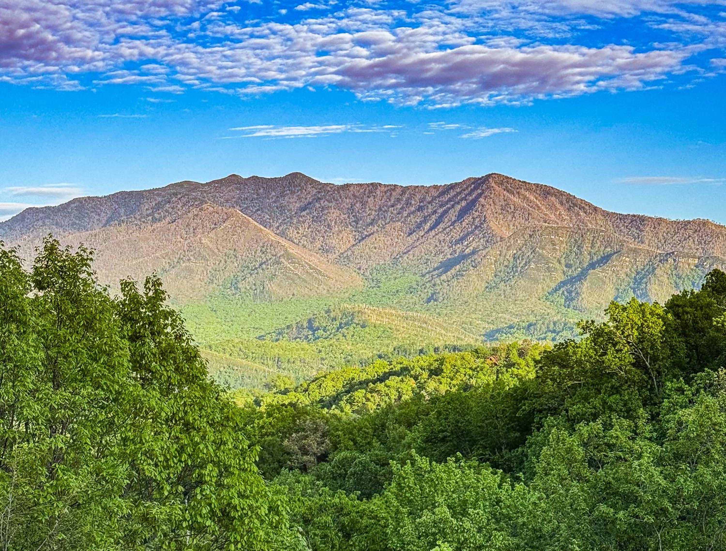Mountainview Majesty