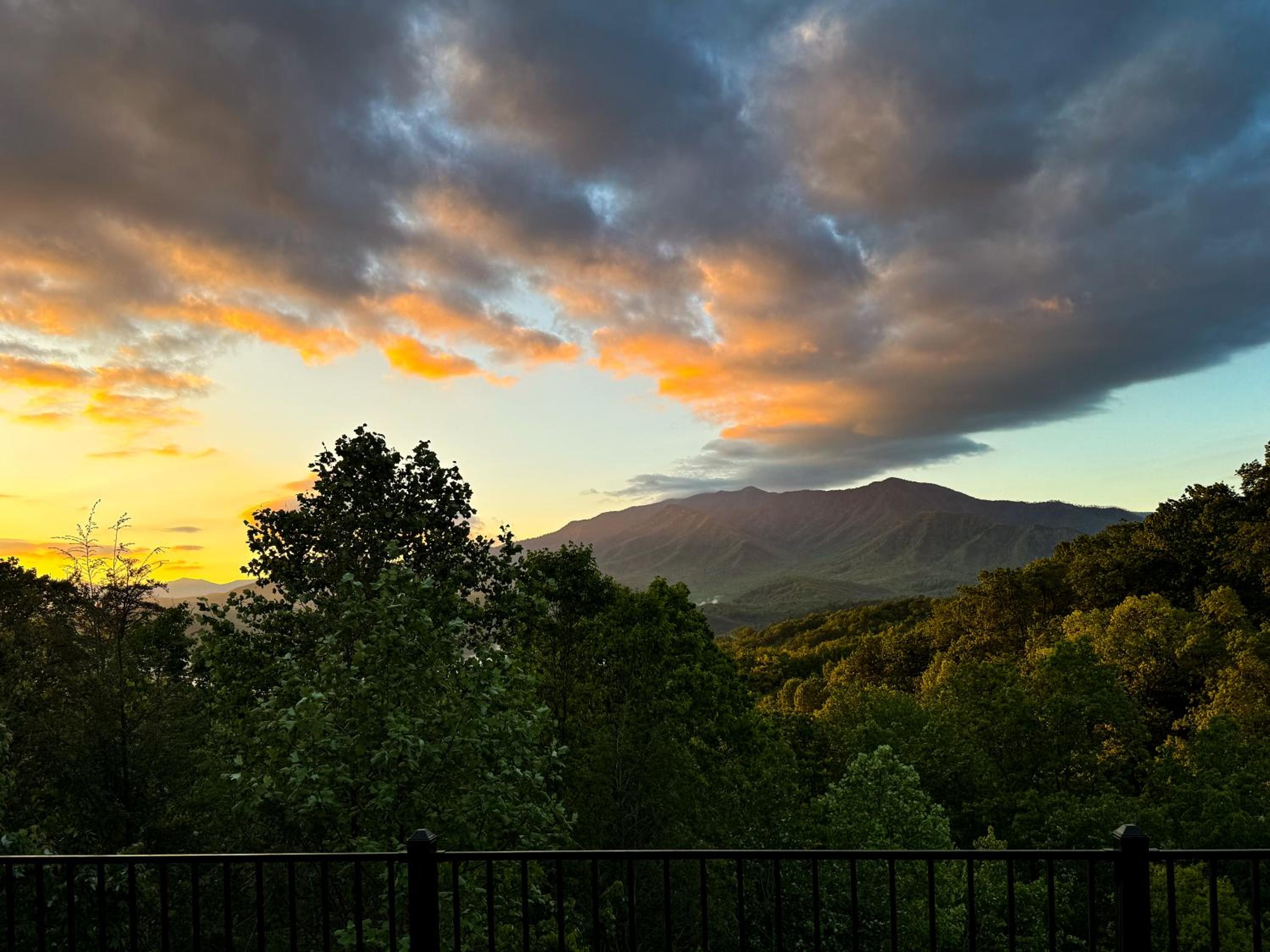 Mountainview Majesty