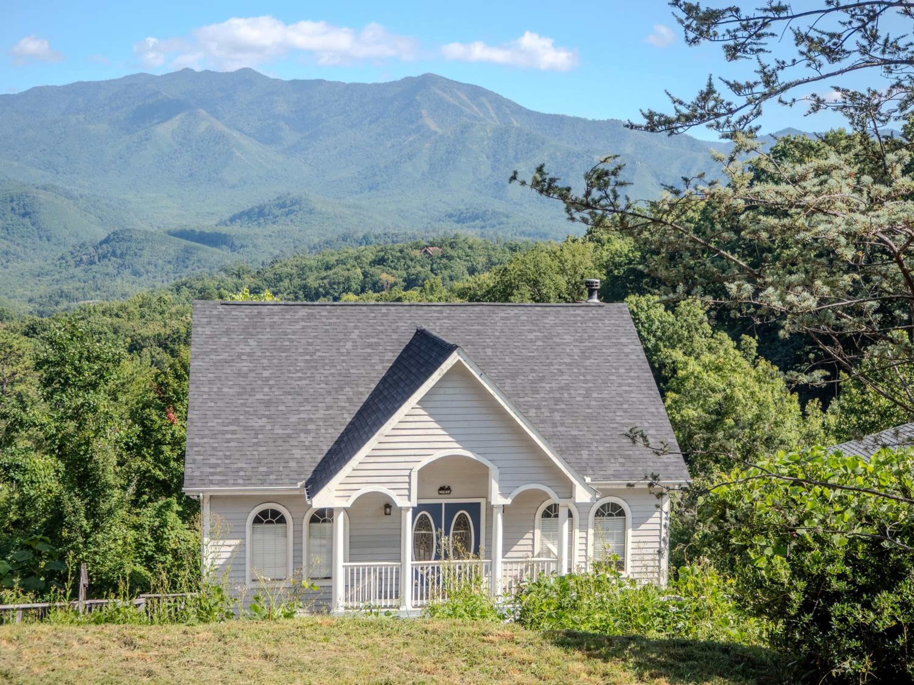 Mountainview Majesty