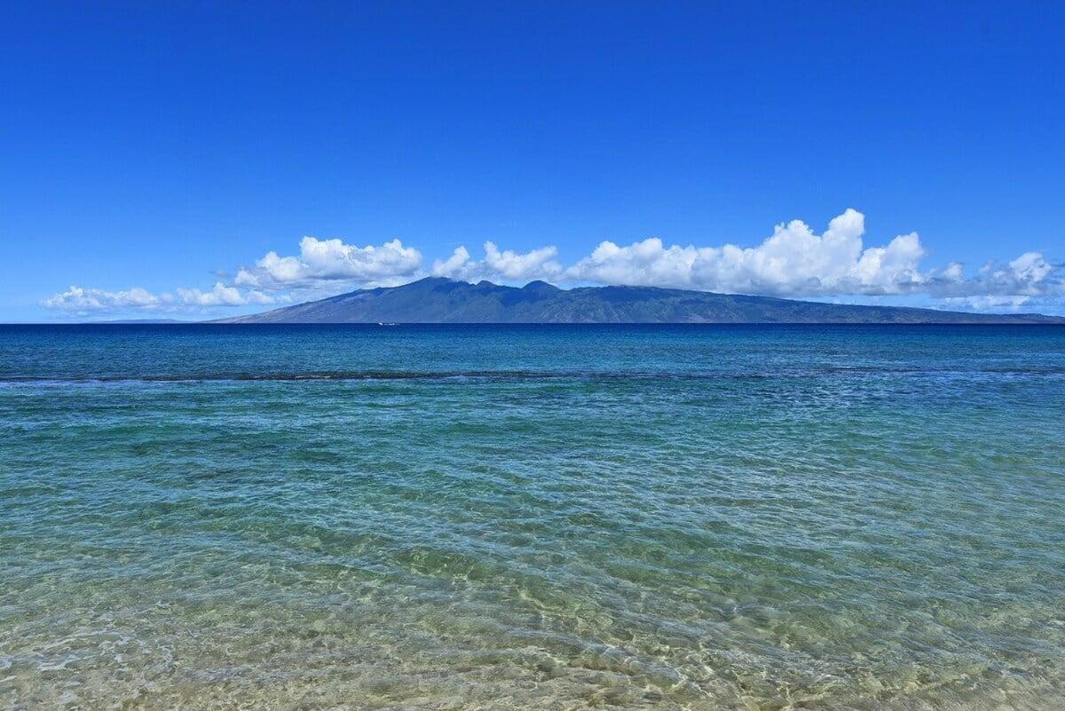 Papakea L108 · PK L108 Remodeled OceanFront 1BD