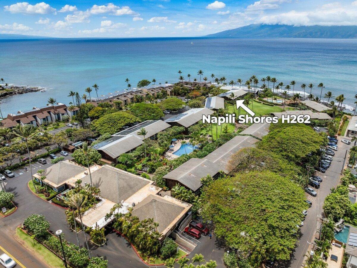 Napili Shores H262 · NS H262 BeachFront Condo Ocean Views Pool H