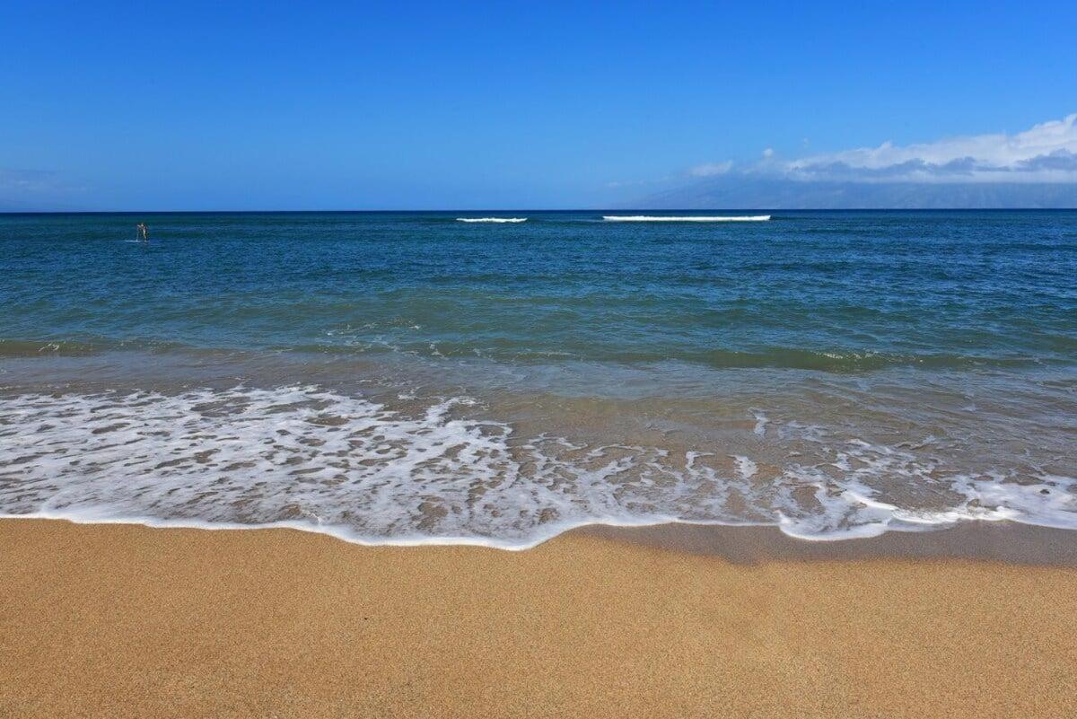 Royal Kahana 616 · RK 616 Oceanfront Escape w Pool | Steps2Beach