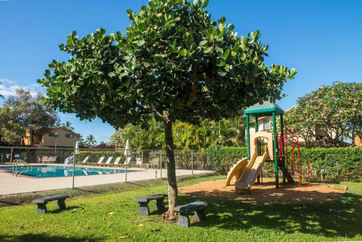 Puamana 153-4 · PU 153-4 Spacious Puamana Unit & Walk To The Bea