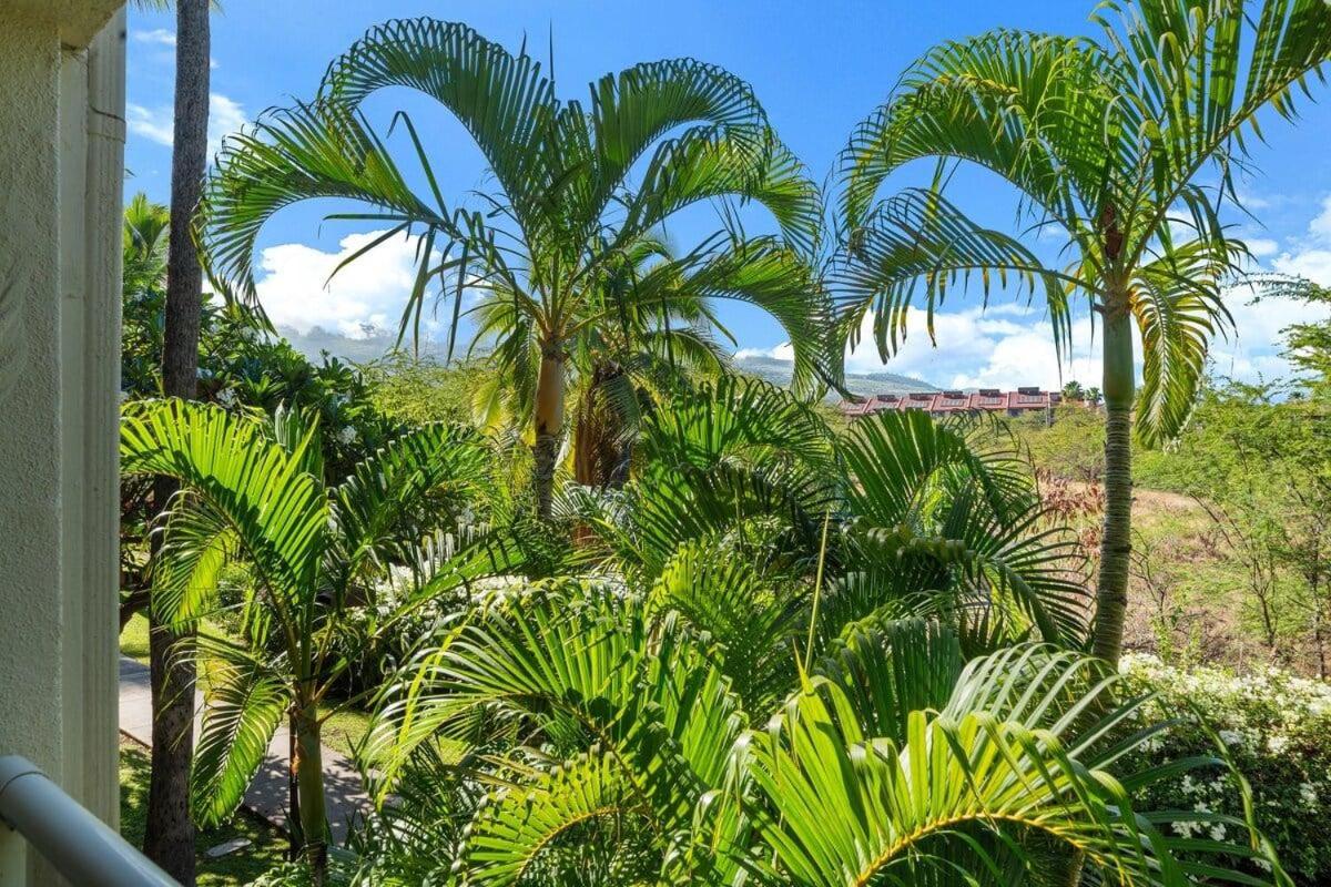 Maui Banyan H207 · MB H207 Maui Escape Near Beach, Pool & Hot Tu