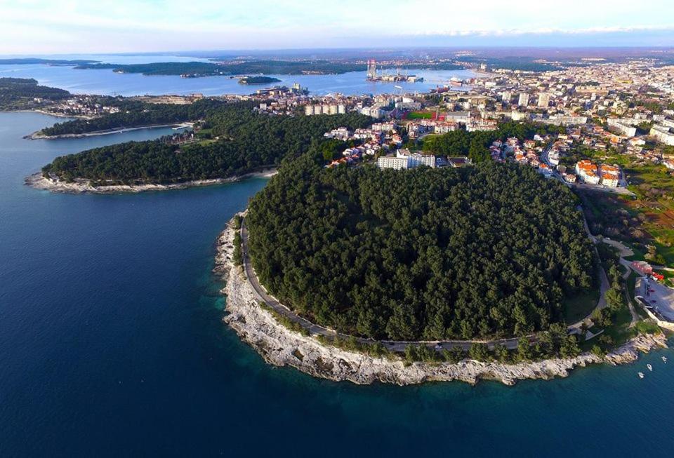 Apartment Saša