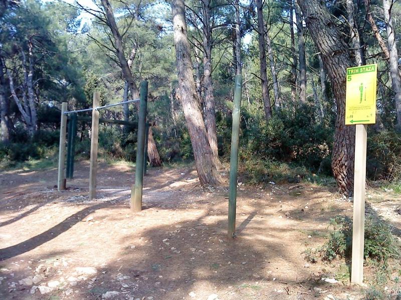 Apartment Saša