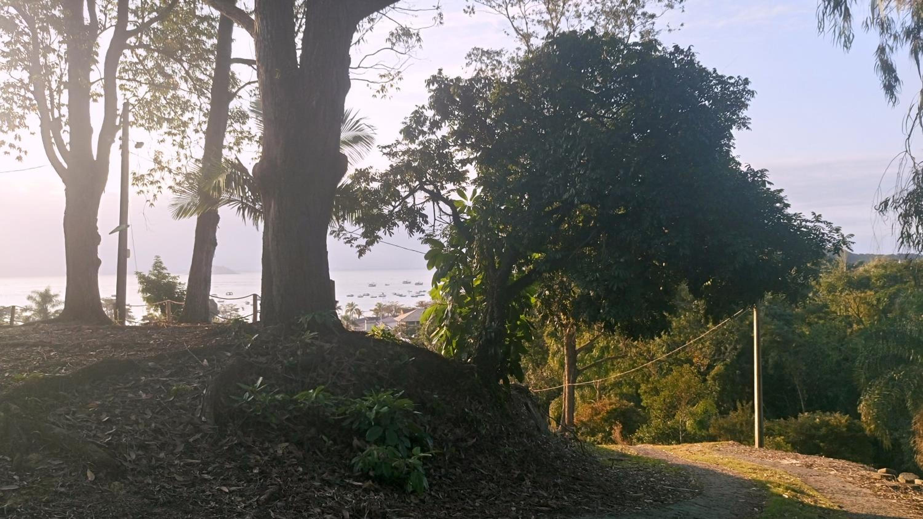 Refúgio do Bosque