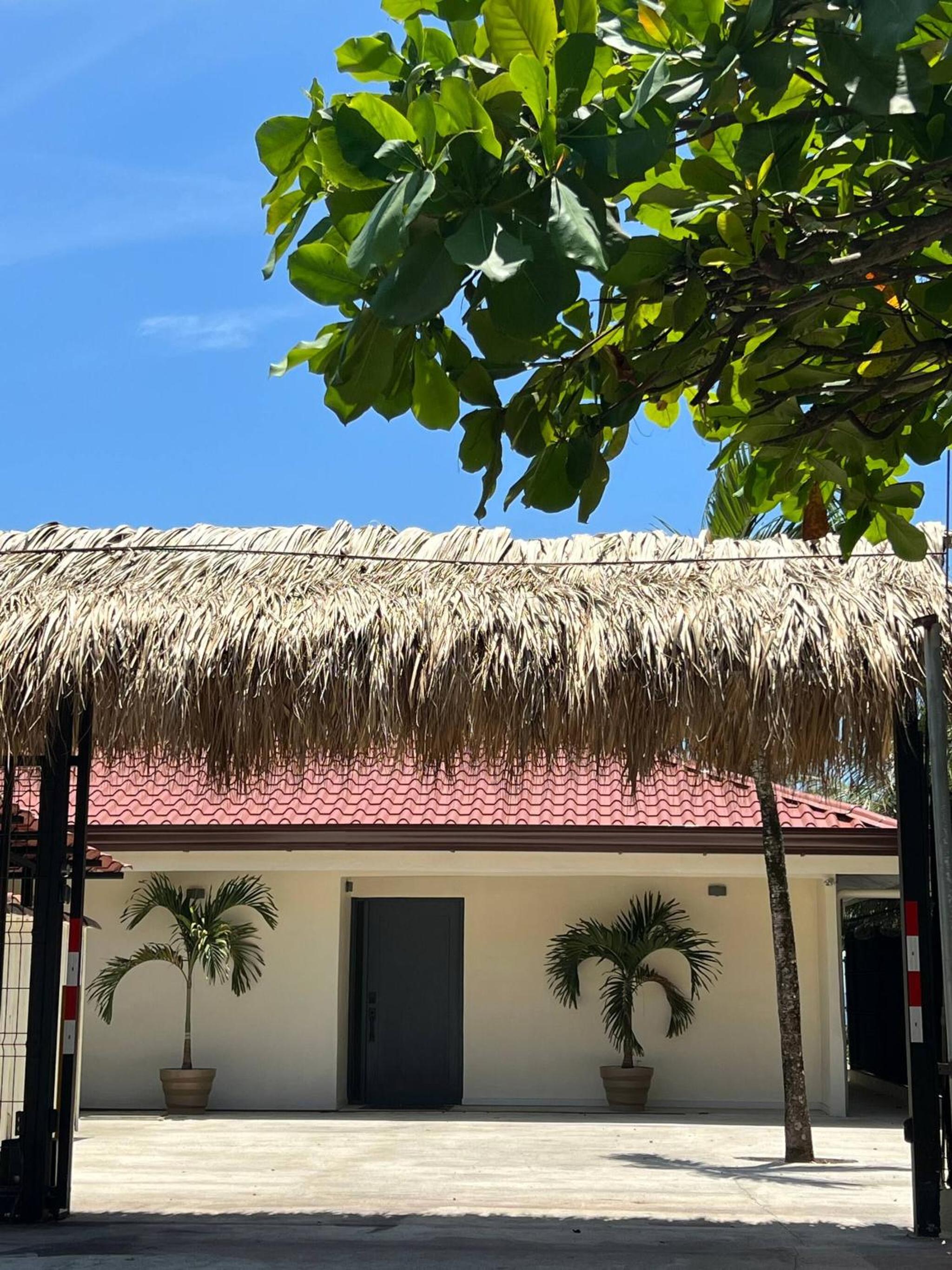 Backyard Beach House Oceanfront Luxury 5 Bdr