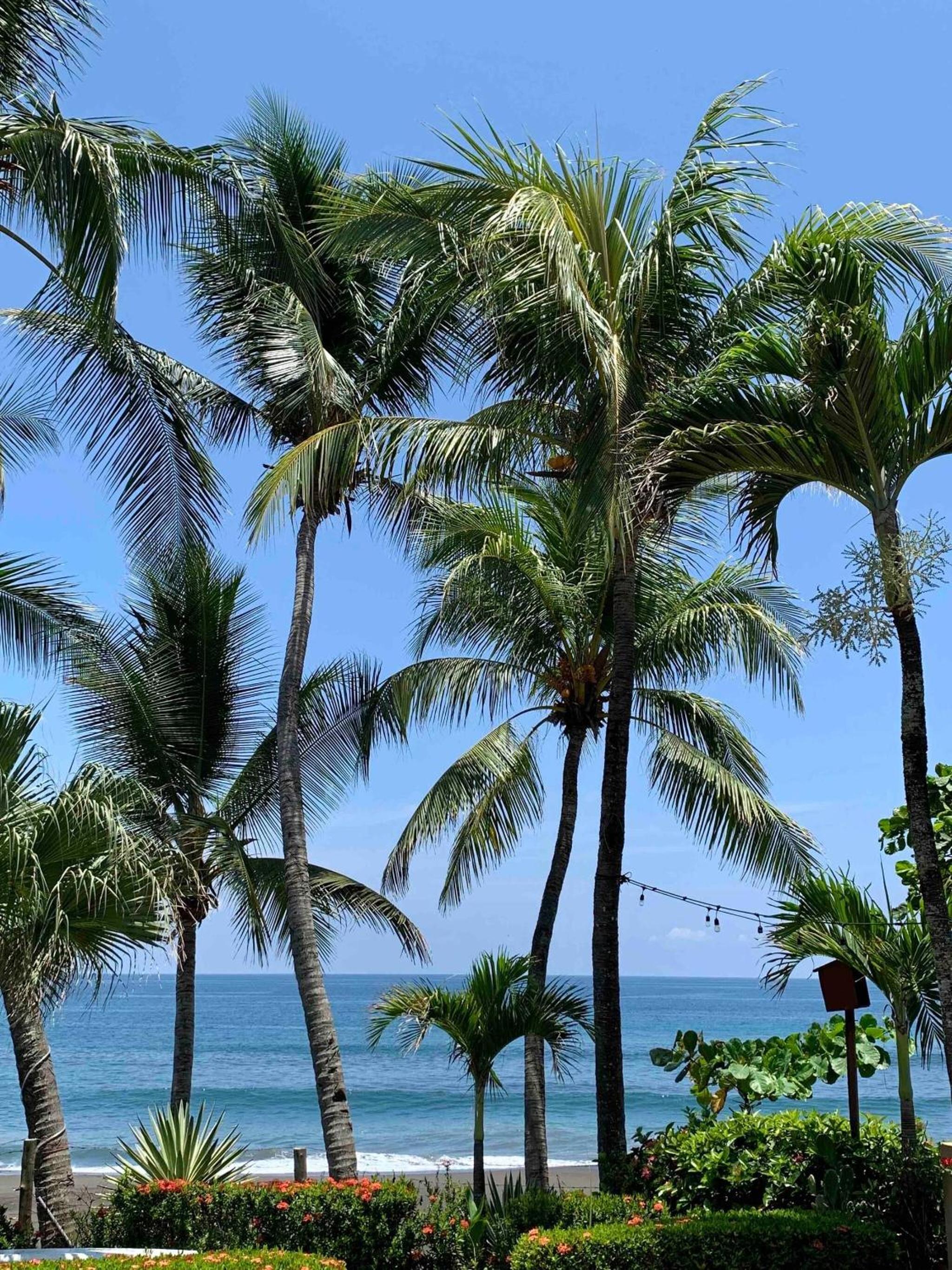 Backyard Beach House Oceanfront Luxury 5 Bdr