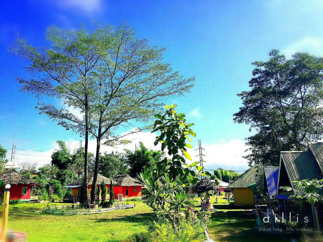 Pai Forest Resort