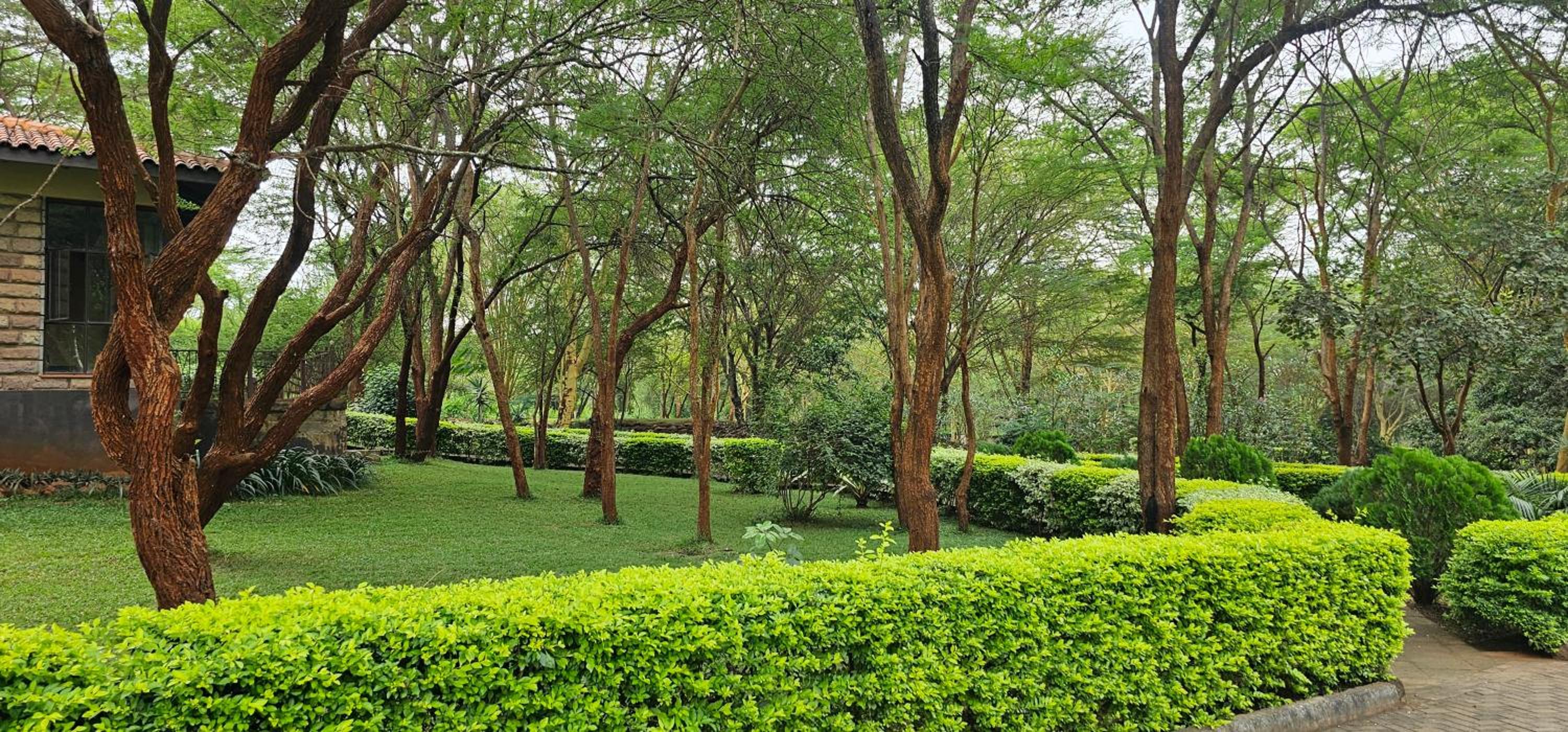 Sagana Getaway Resort