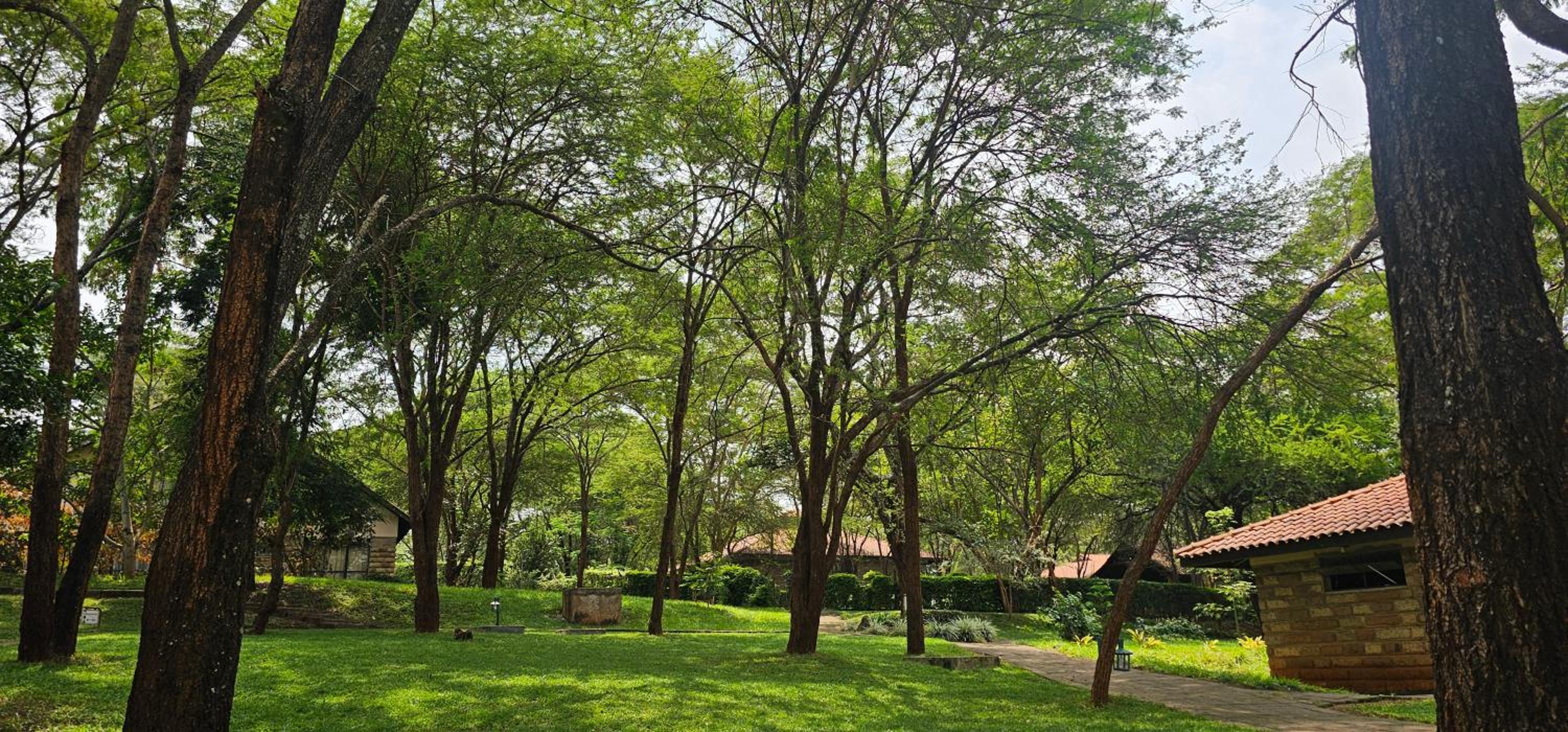 Sagana Getaway Resort