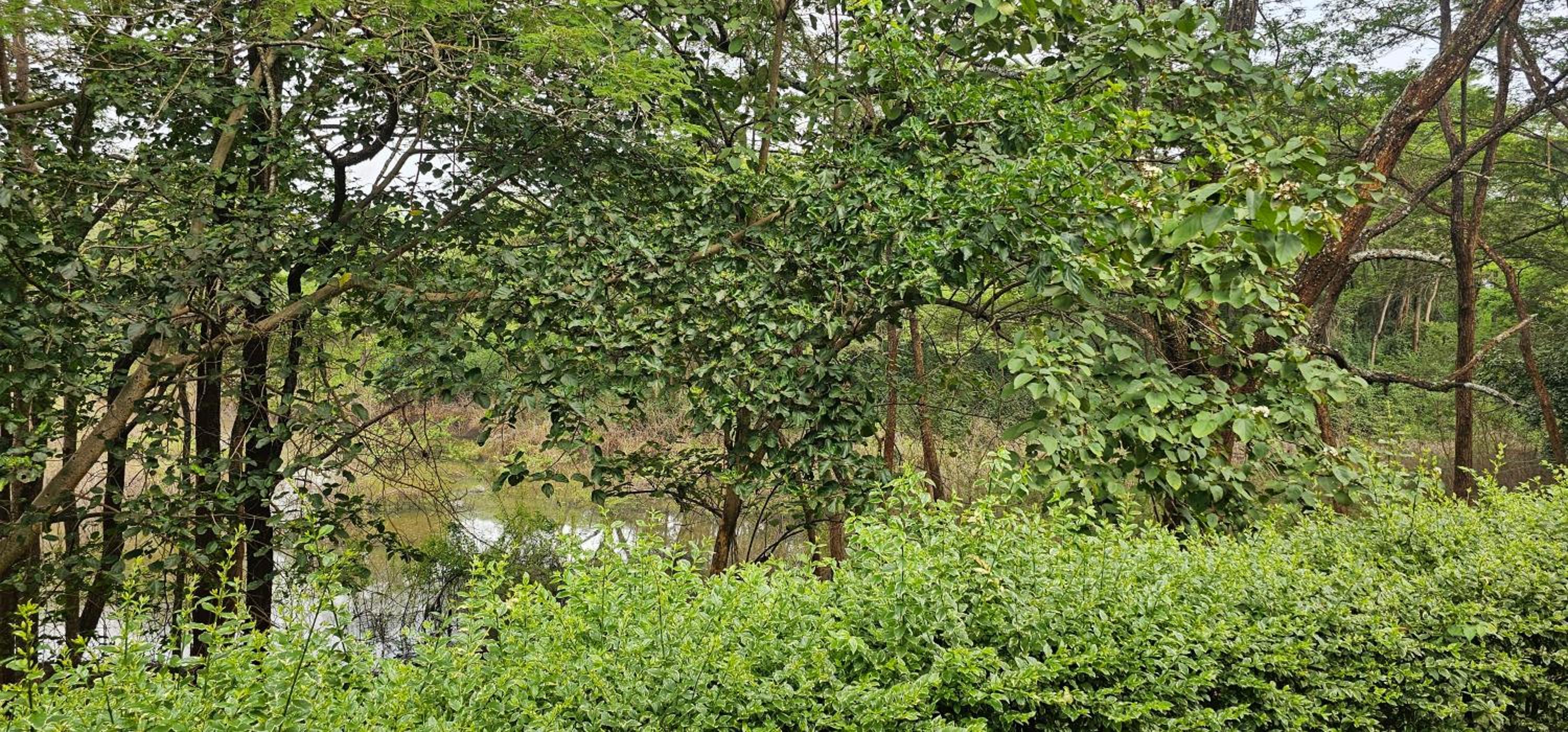 Sagana Getaway Resort