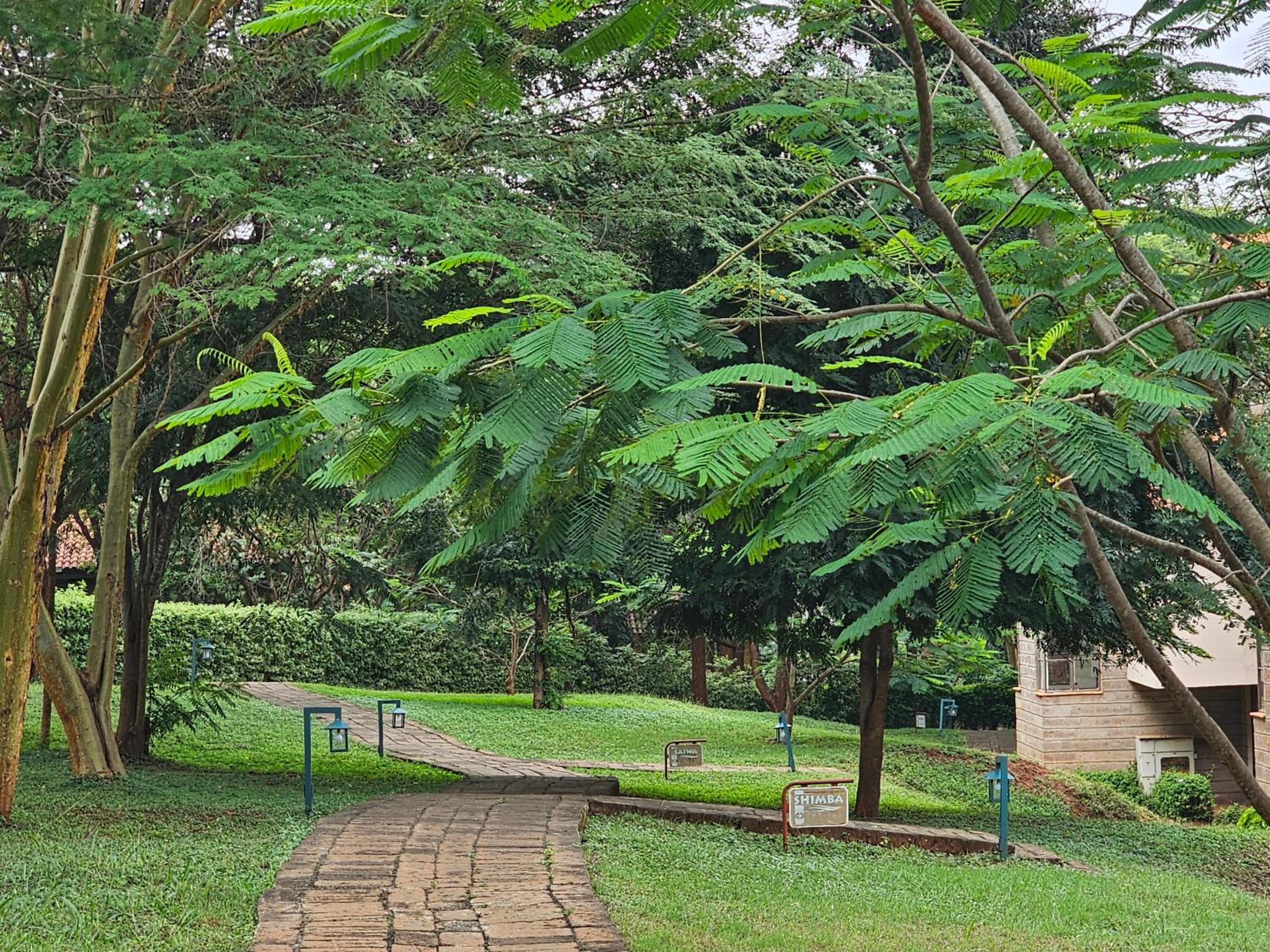 Sagana Getaway Resort