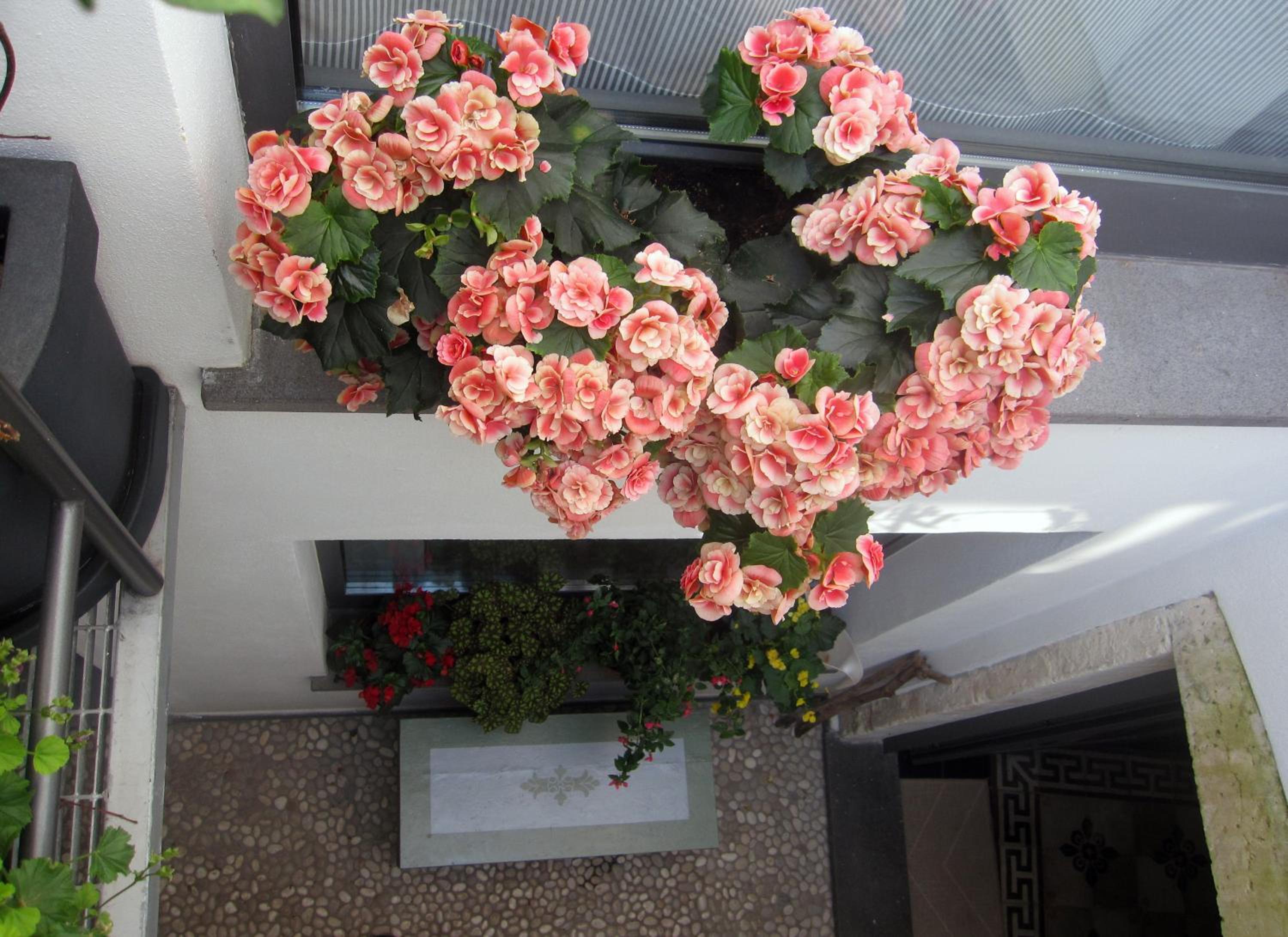 Photo 35