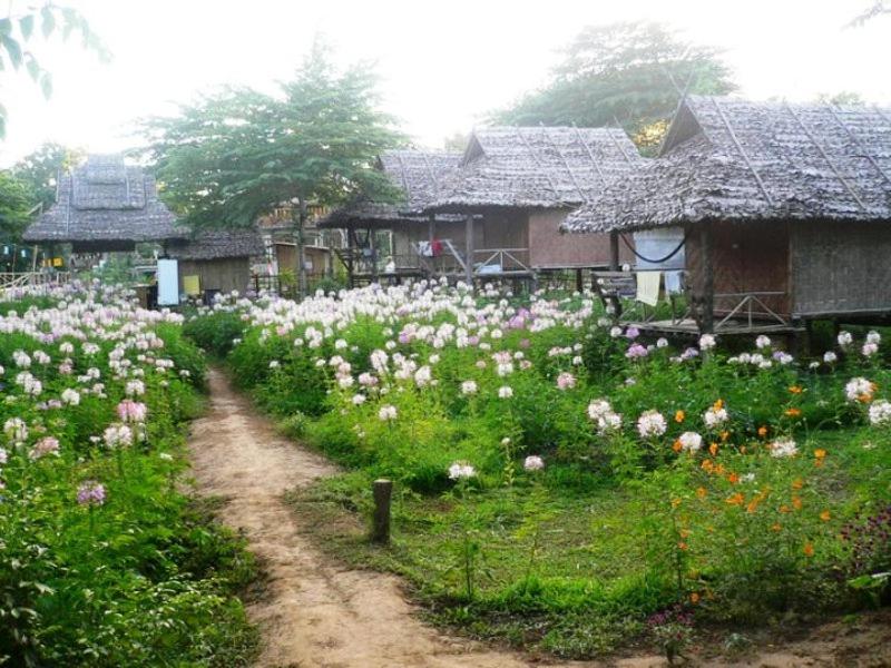 Family Hut Pai view 4