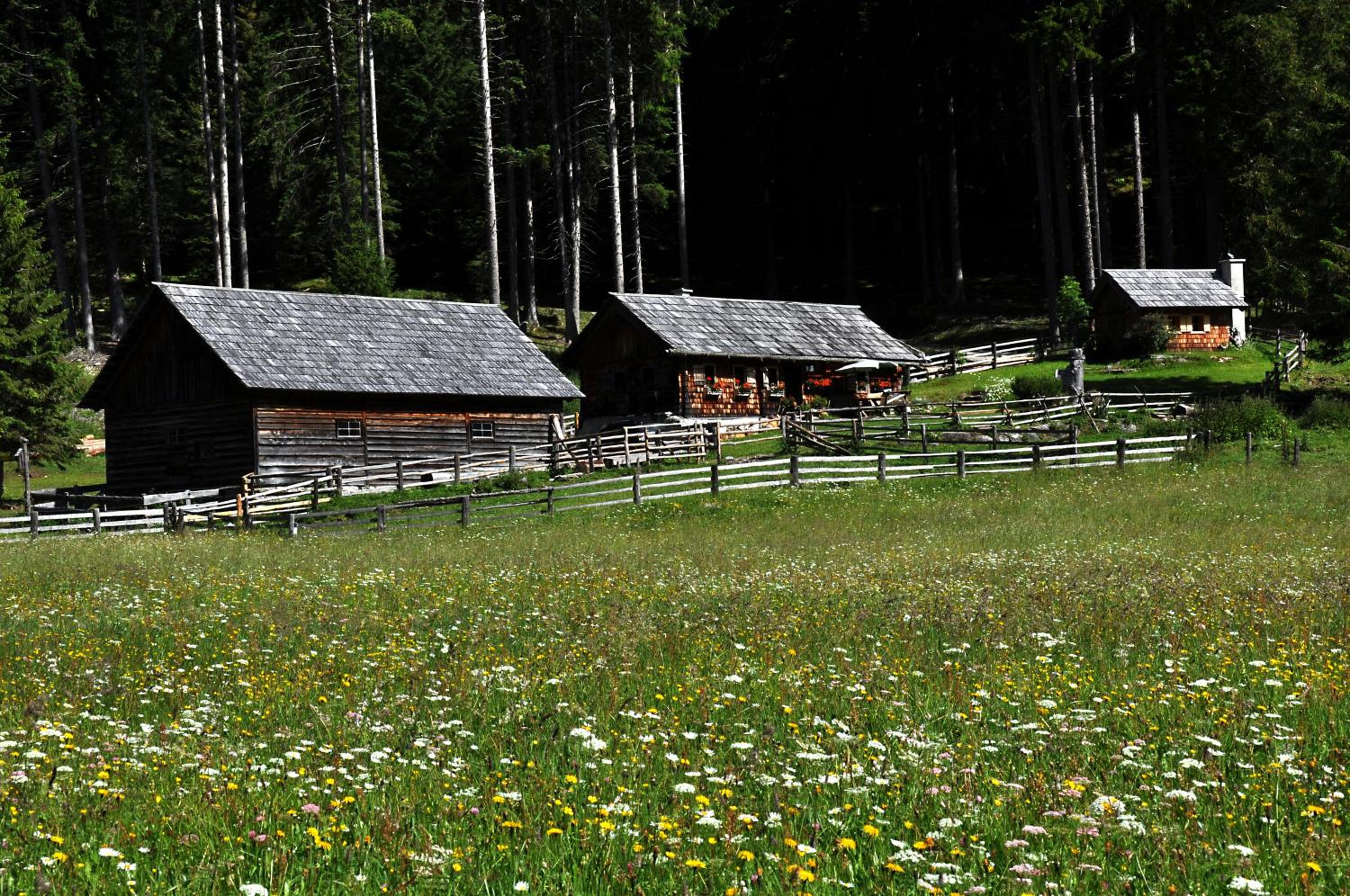 Chaletdorf-Fanningberg