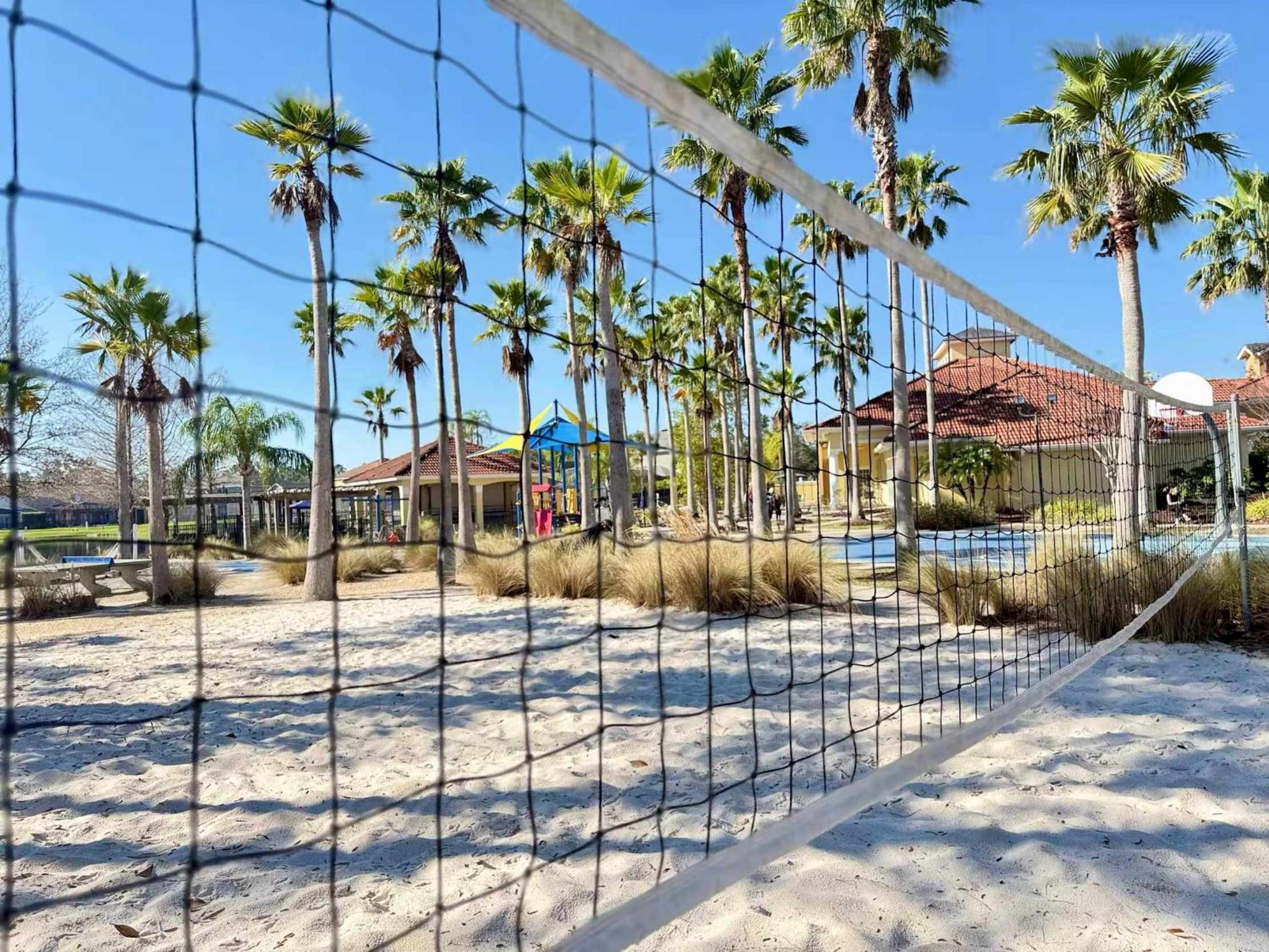 Palm Tree in Paradise - 10ppl