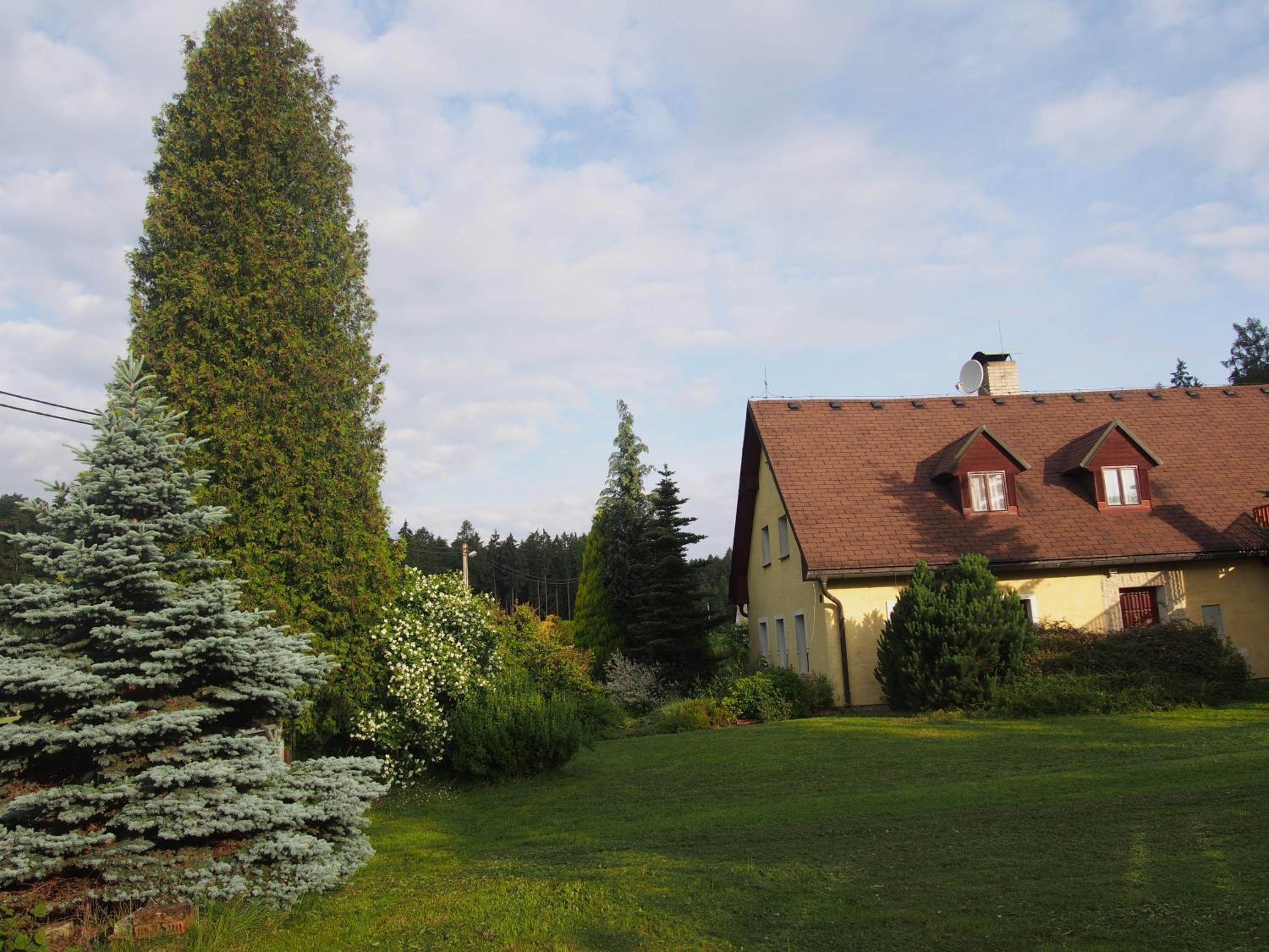 Kopaniny