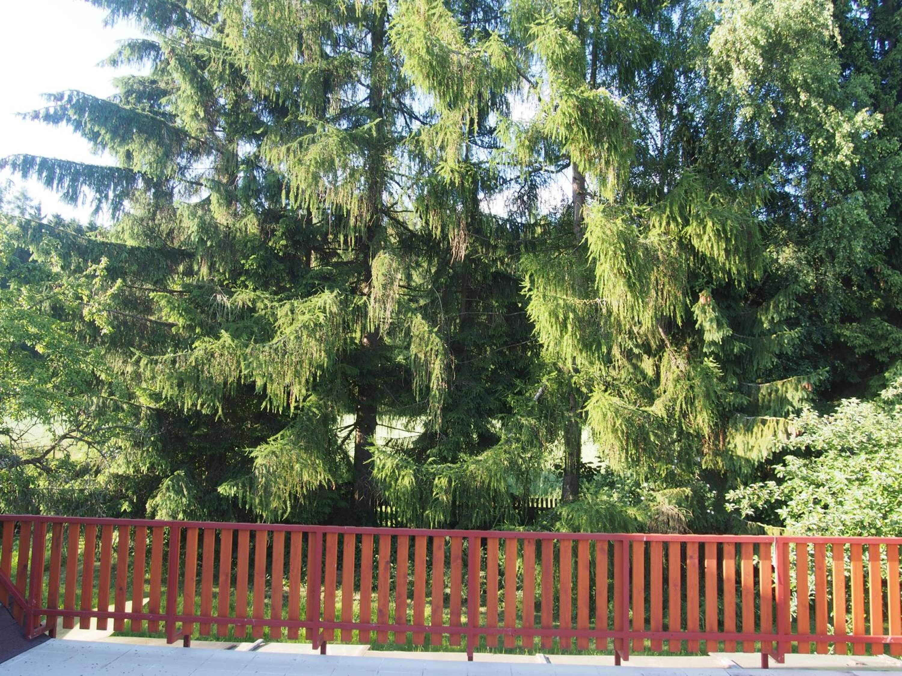 Kopaniny
