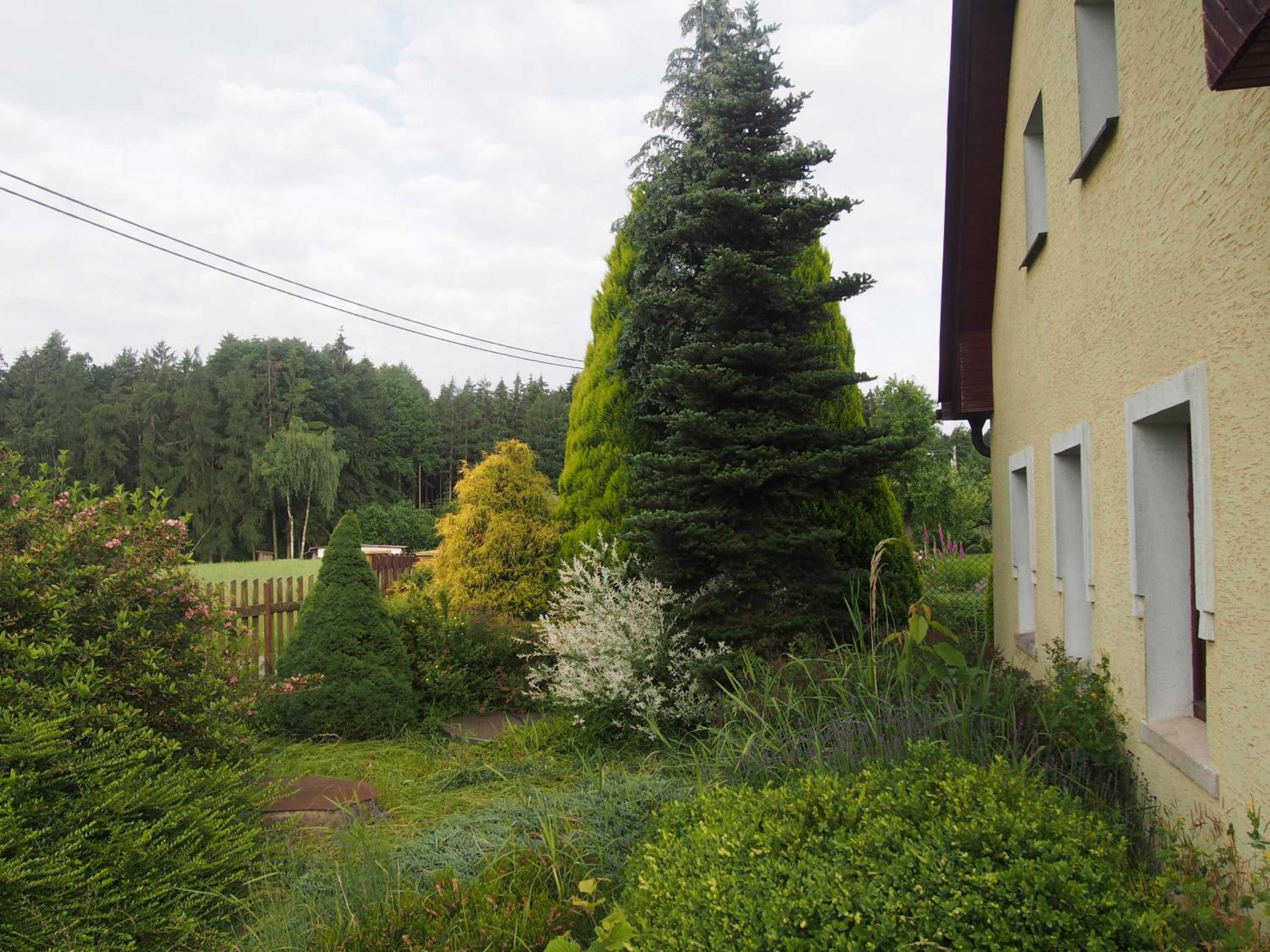 Kopaniny