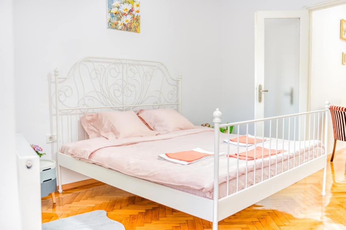 Suvenir Chic, a Fusion of Modern, Elegance and Harmony