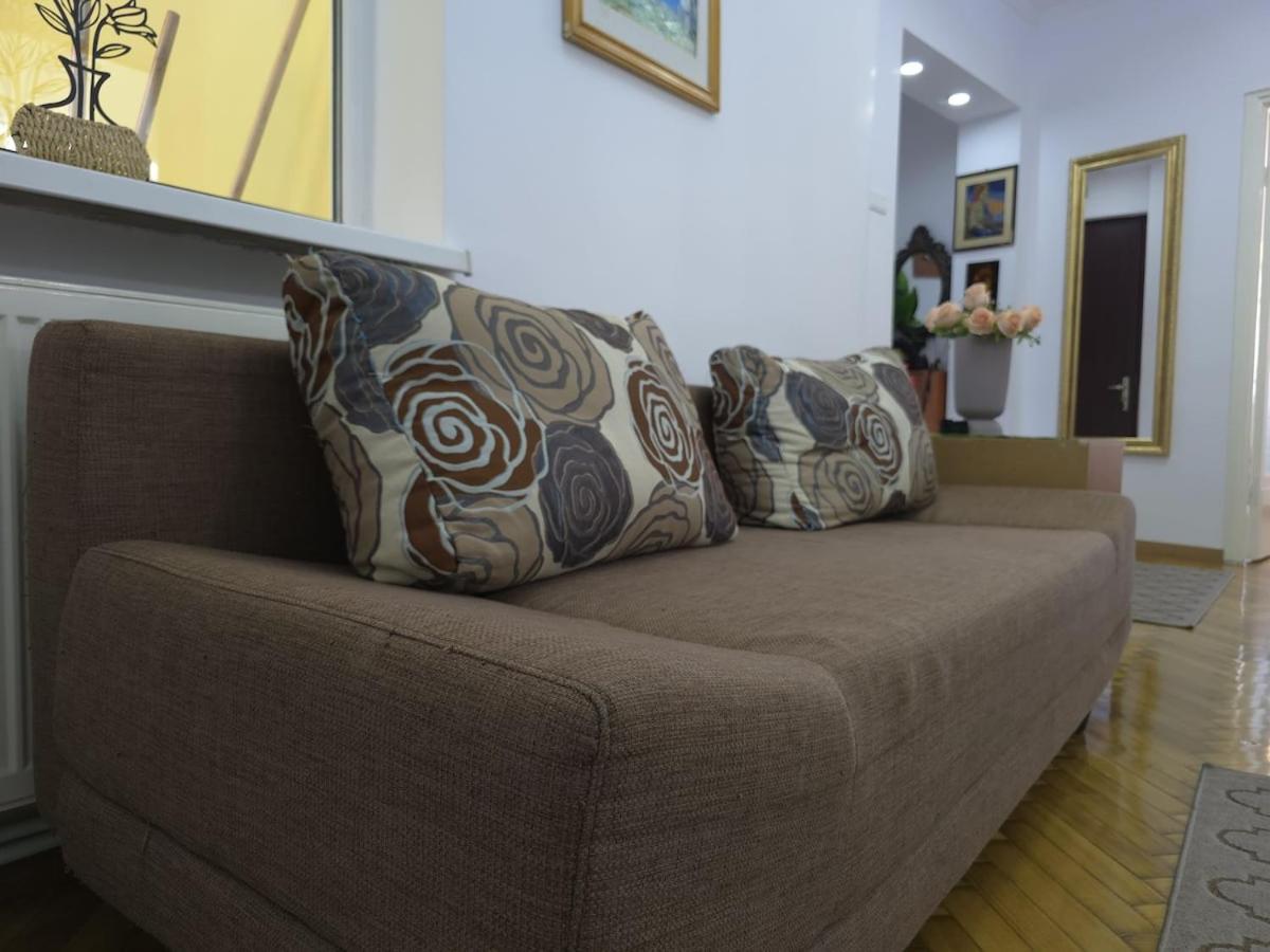 Suvenir Chic, a Fusion of Modern, Elegance and Harmony
