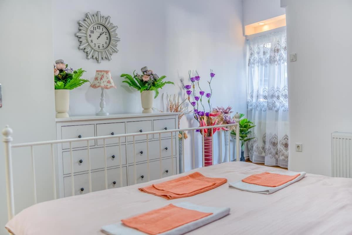 Suvenir Chic, a Fusion of Modern, Elegance and Harmony