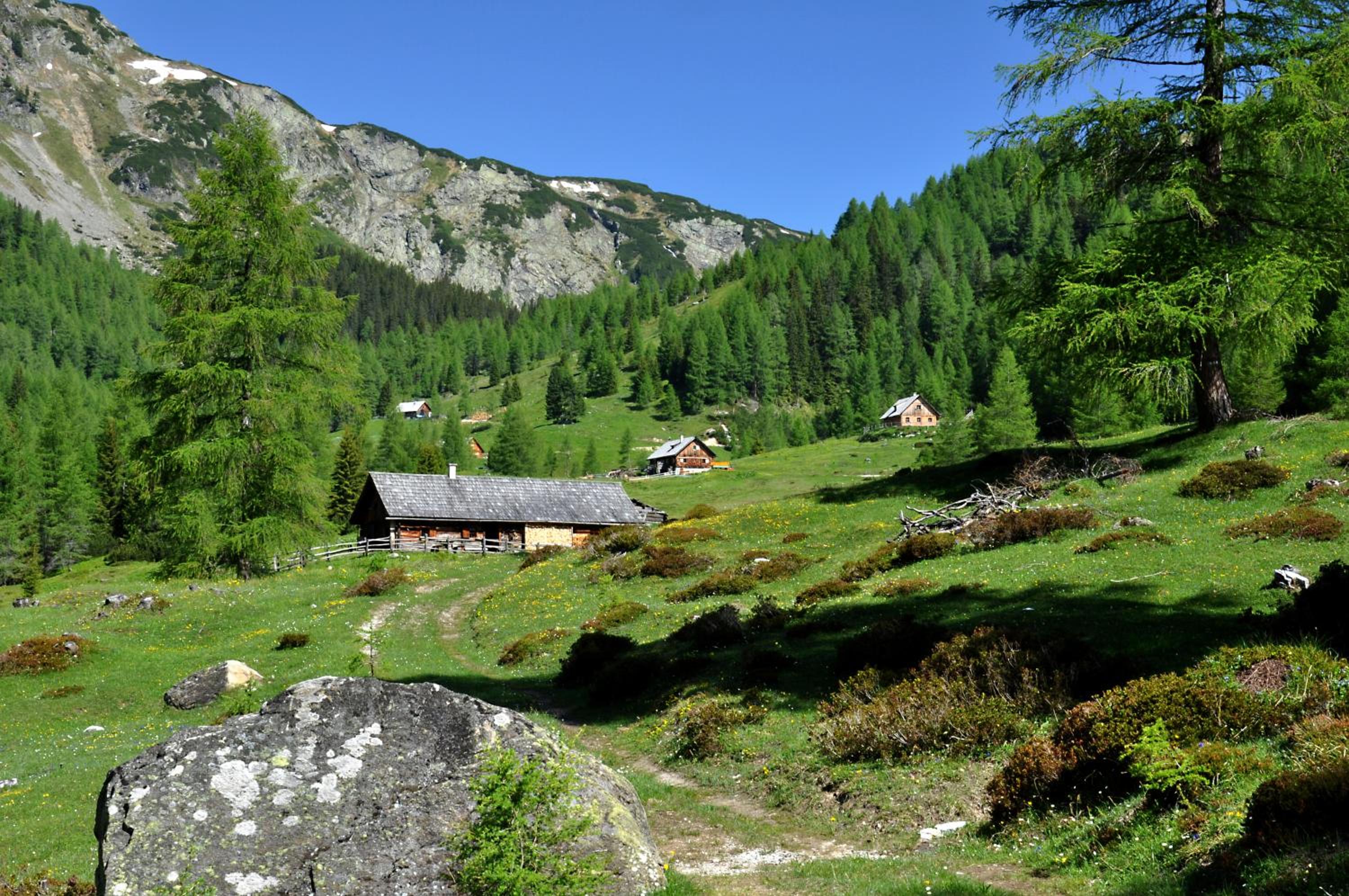 Chaletdorf-Fanningberg