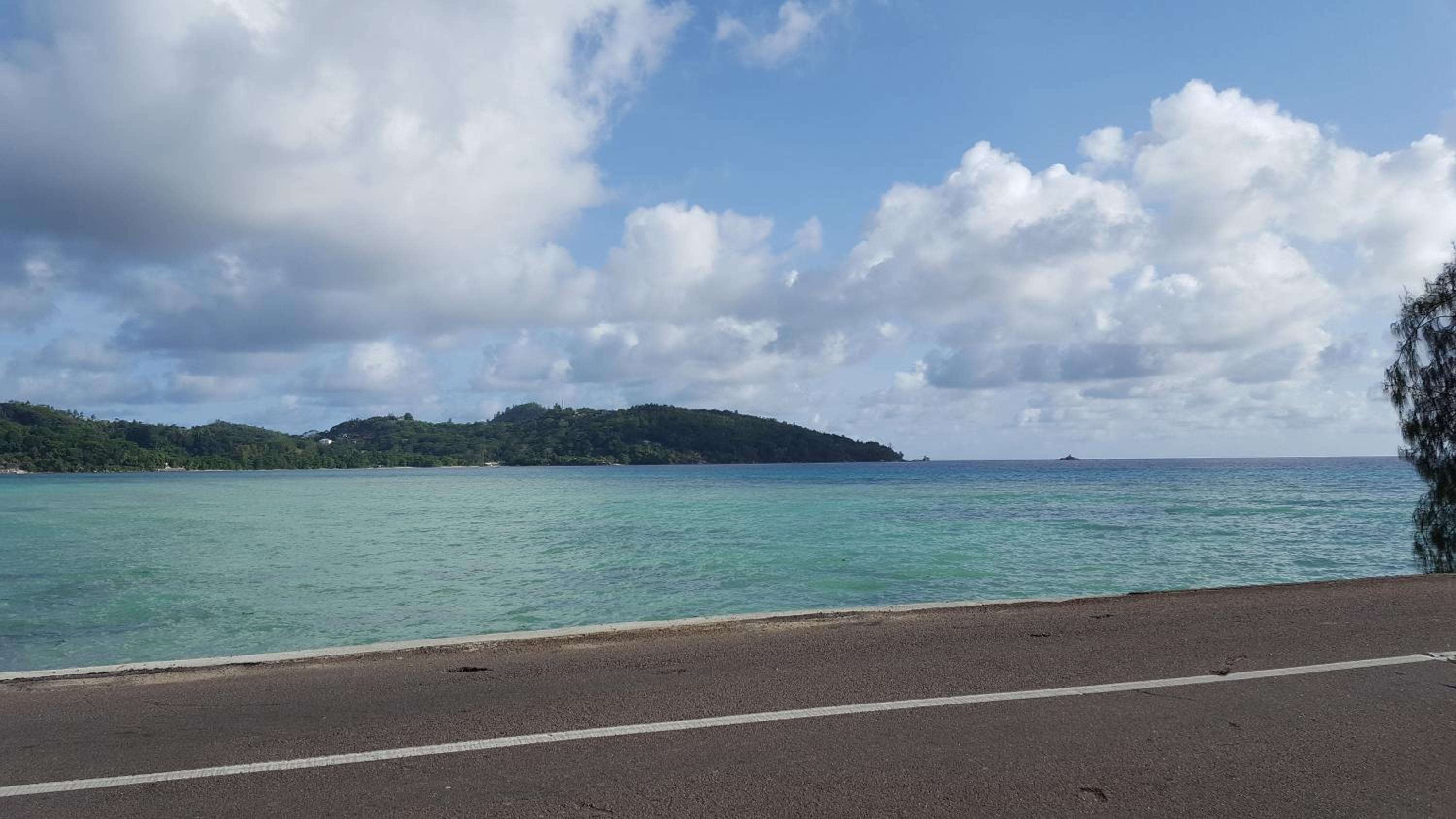 Photo 84