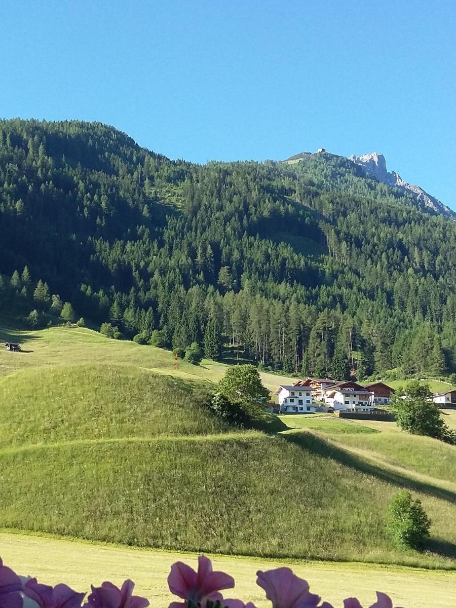 Haus Pinnistor