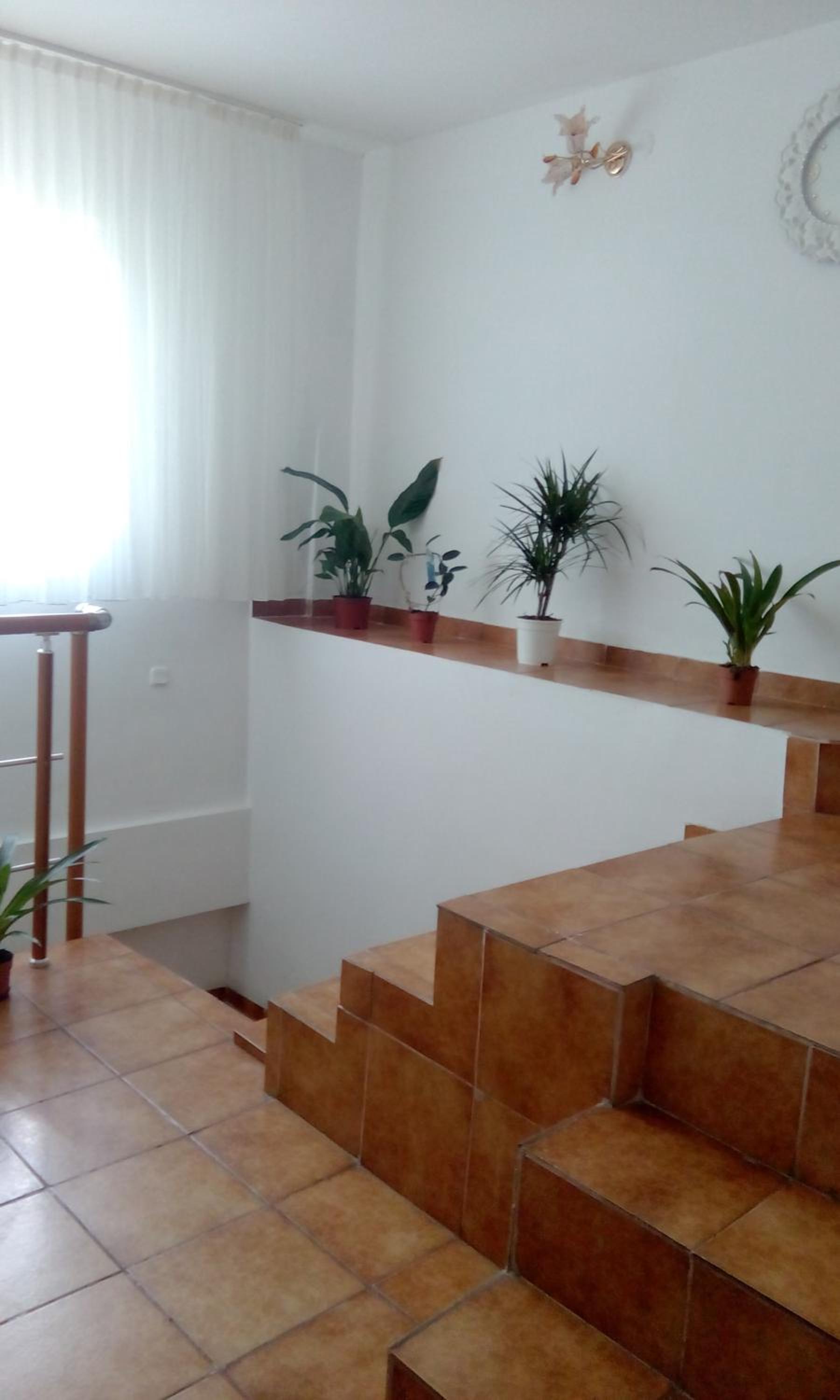 Photo 52