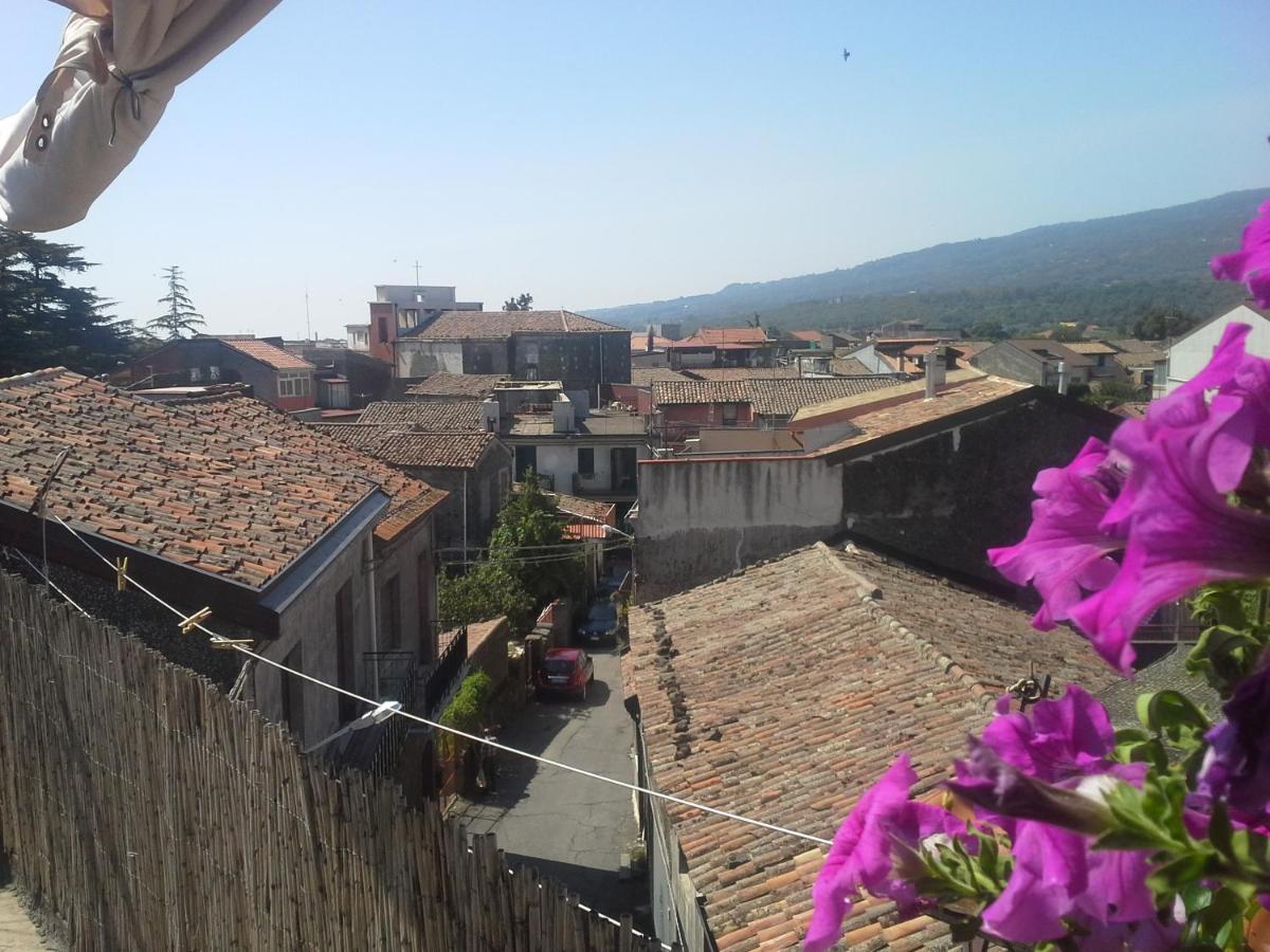 La Casa Dei Cestai