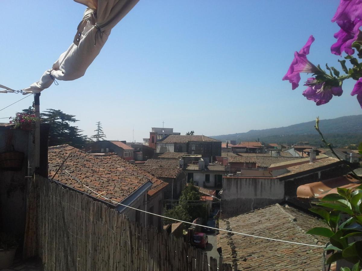 La Casa Dei Cestai