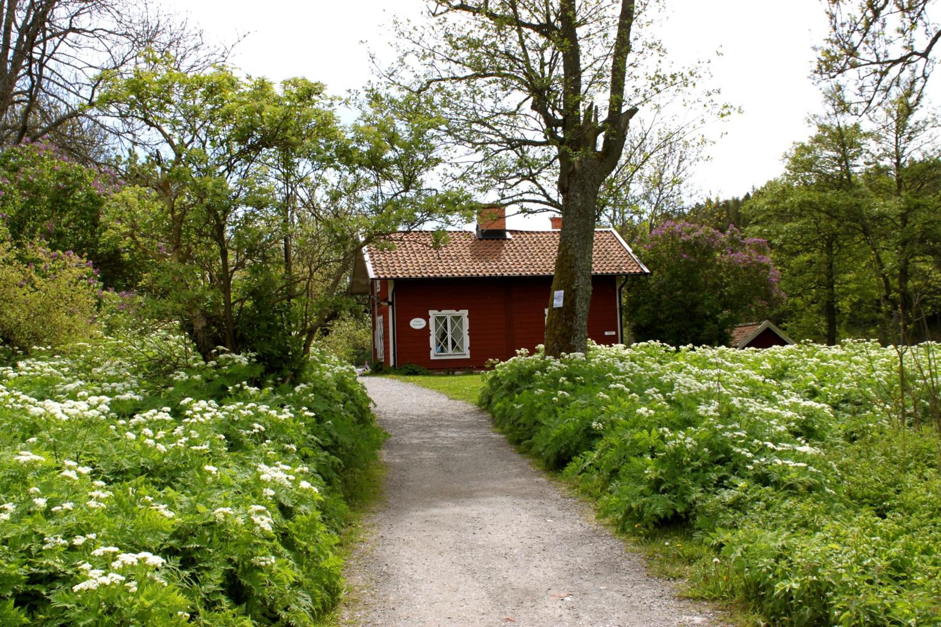 Photo 49