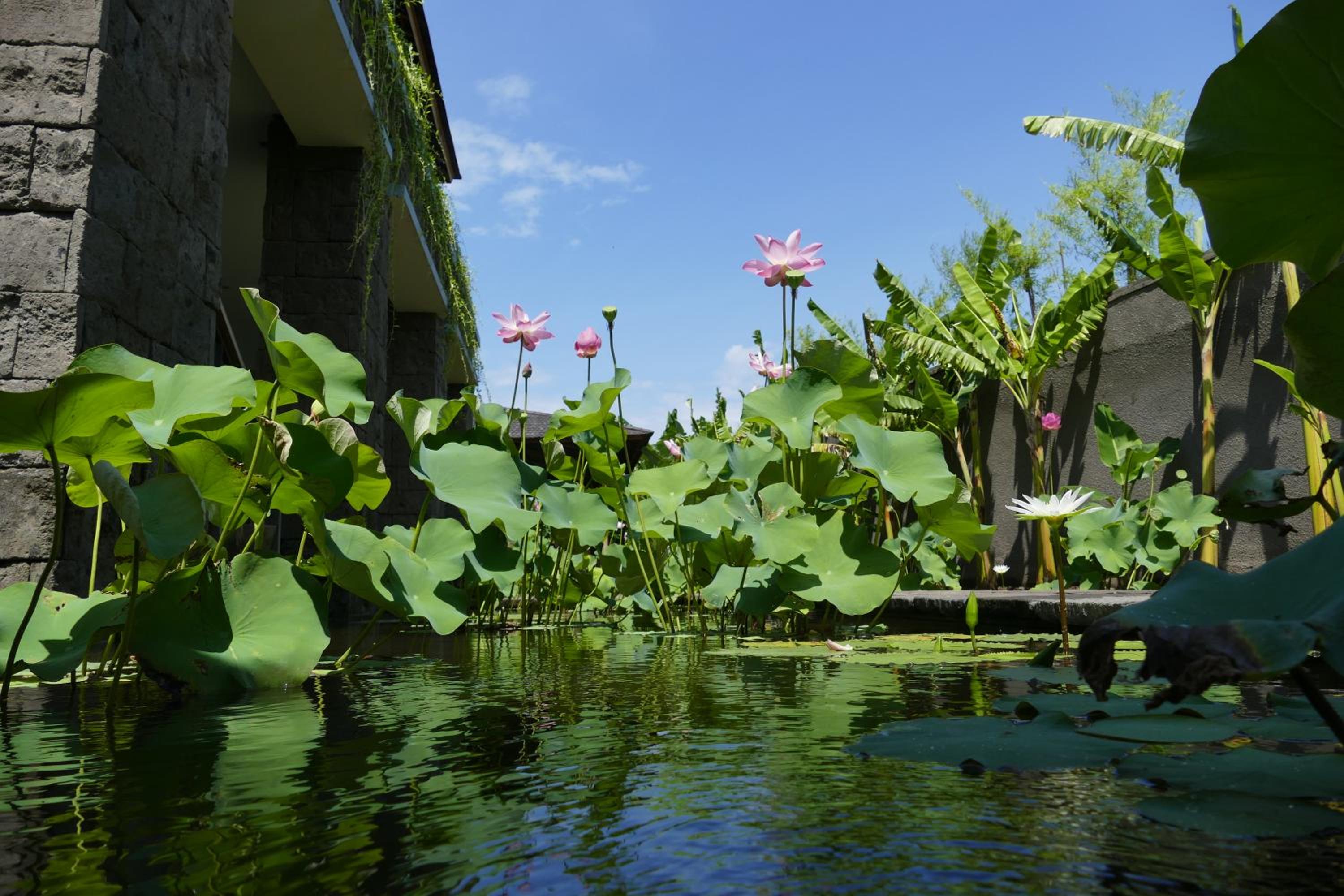 Alami Boutique Villas & Resort