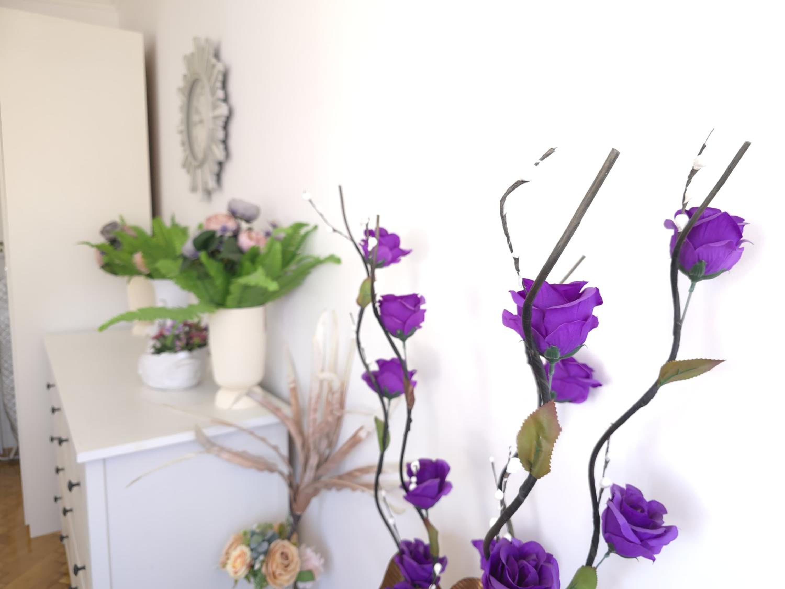 Suvenir Chic, a Fusion of Modern, Elegance and Harmony