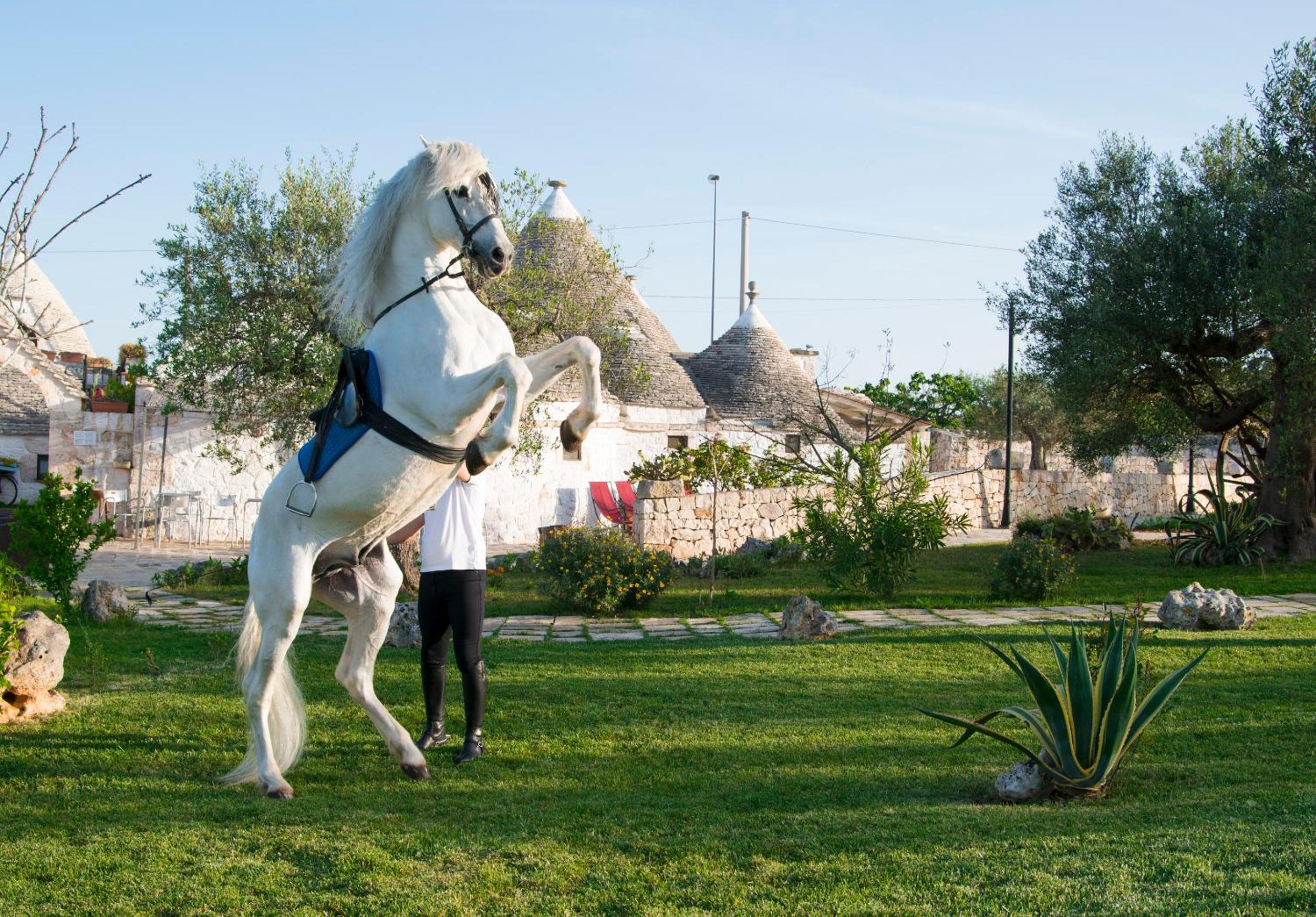 Il Gabellota Resort