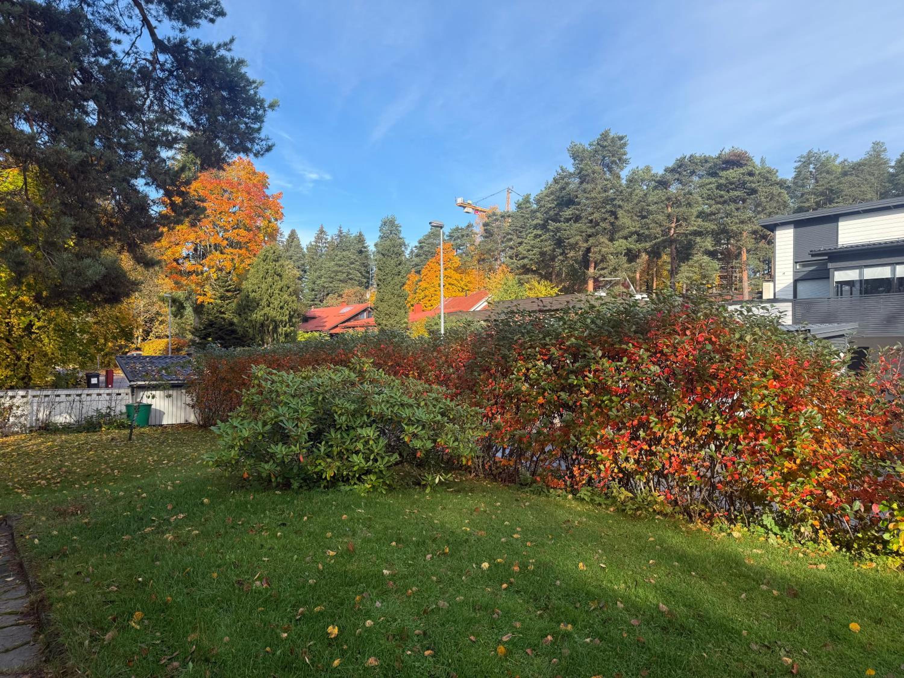 Nordic Nest