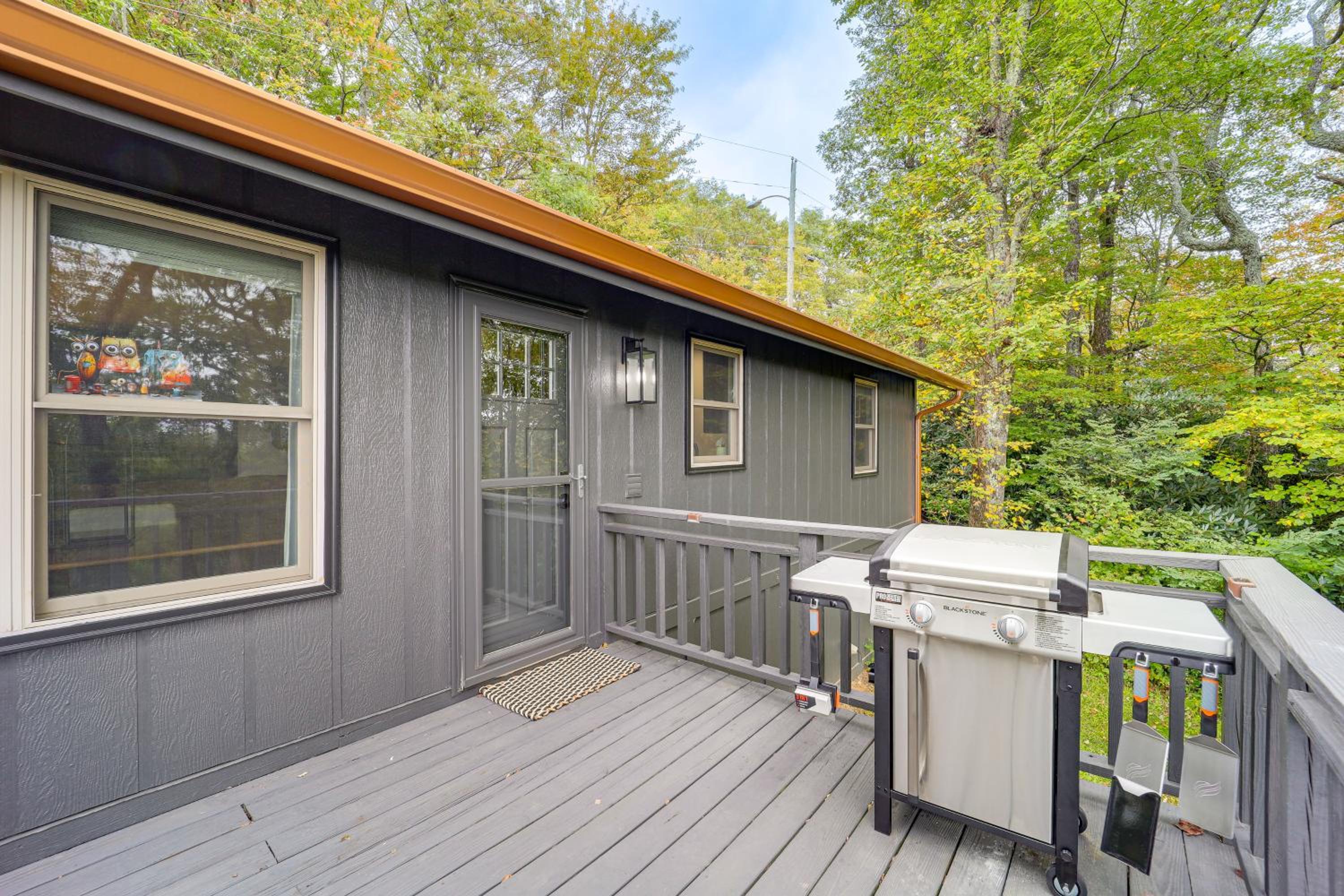 Chic Cabin! Epic Views of Grandfather Mountain