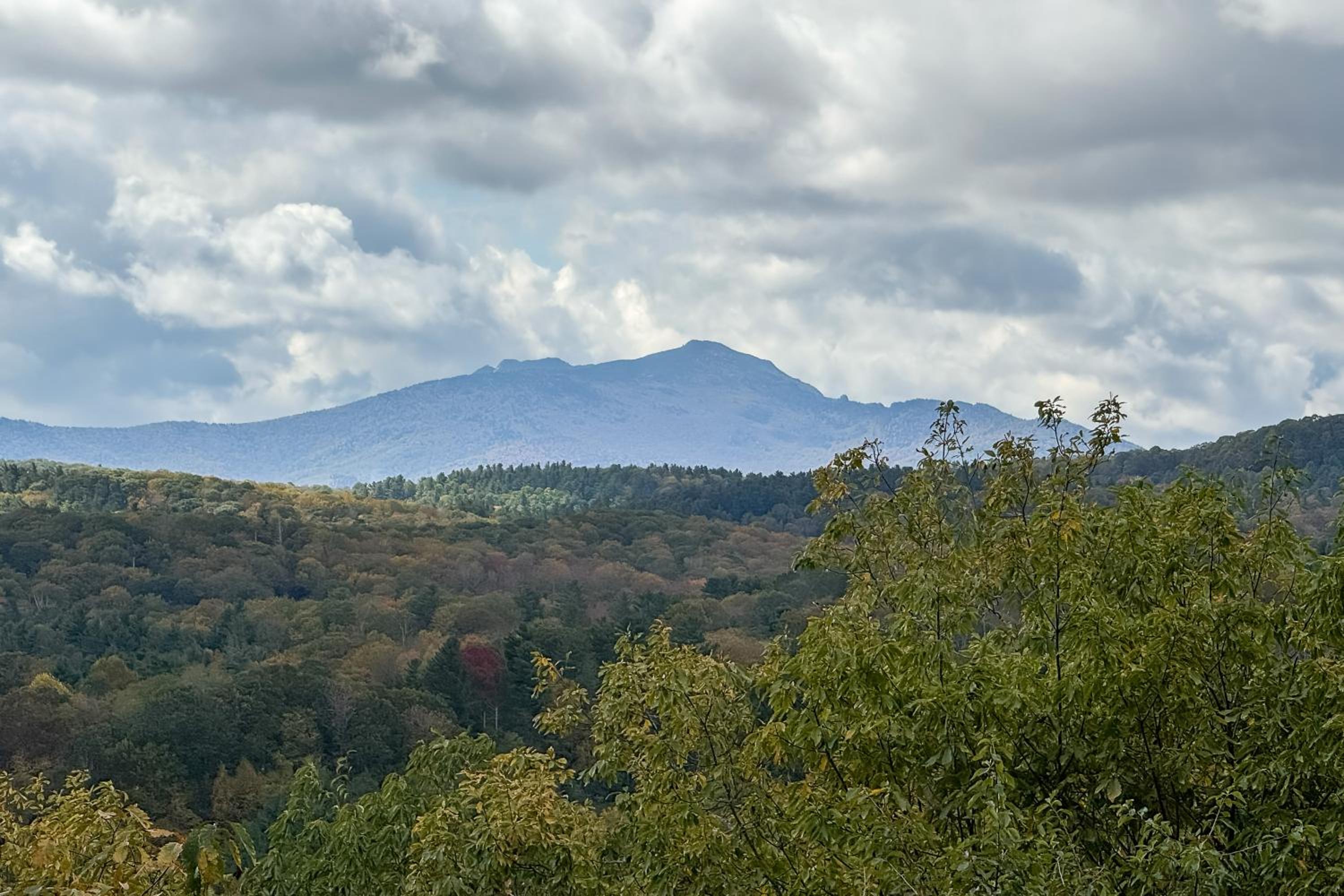 Chic Cabin! Epic Views of Grandfather Mountain