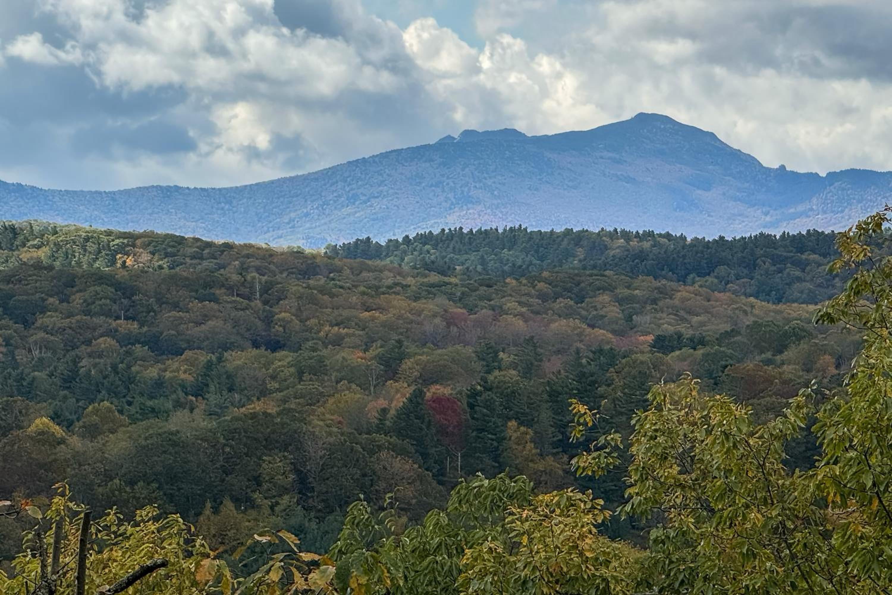 Chic Cabin! Epic Views of Grandfather Mountain