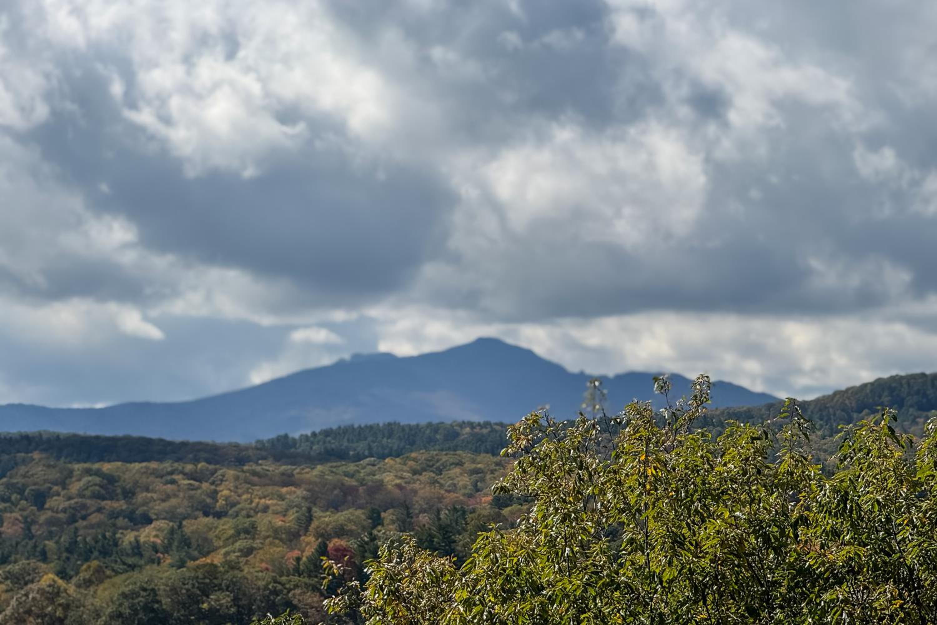 Chic Cabin! Epic Views of Grandfather Mountain