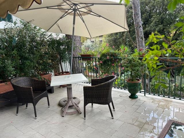 Hotel La Primula, photo 27