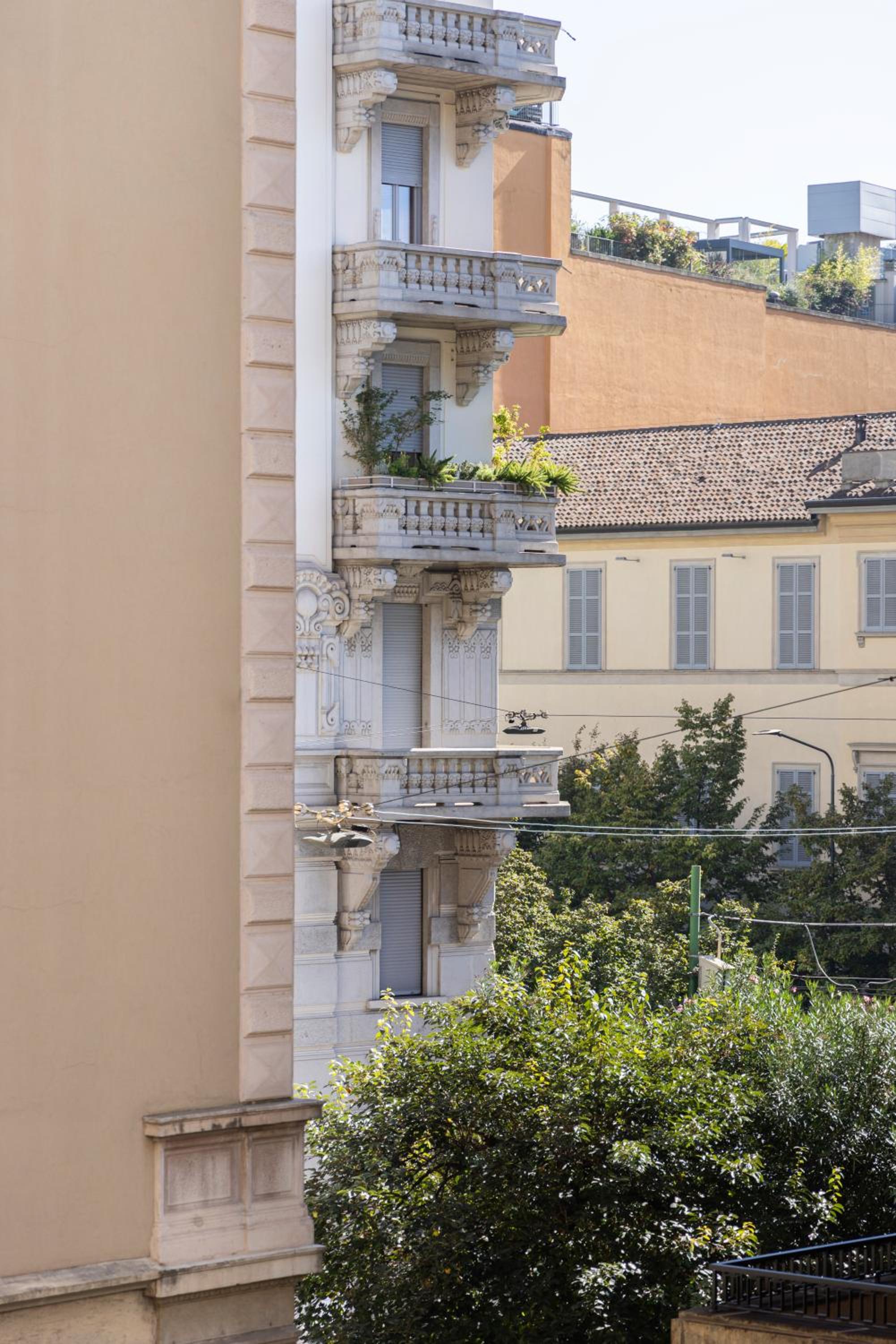 Sudio&A Miele