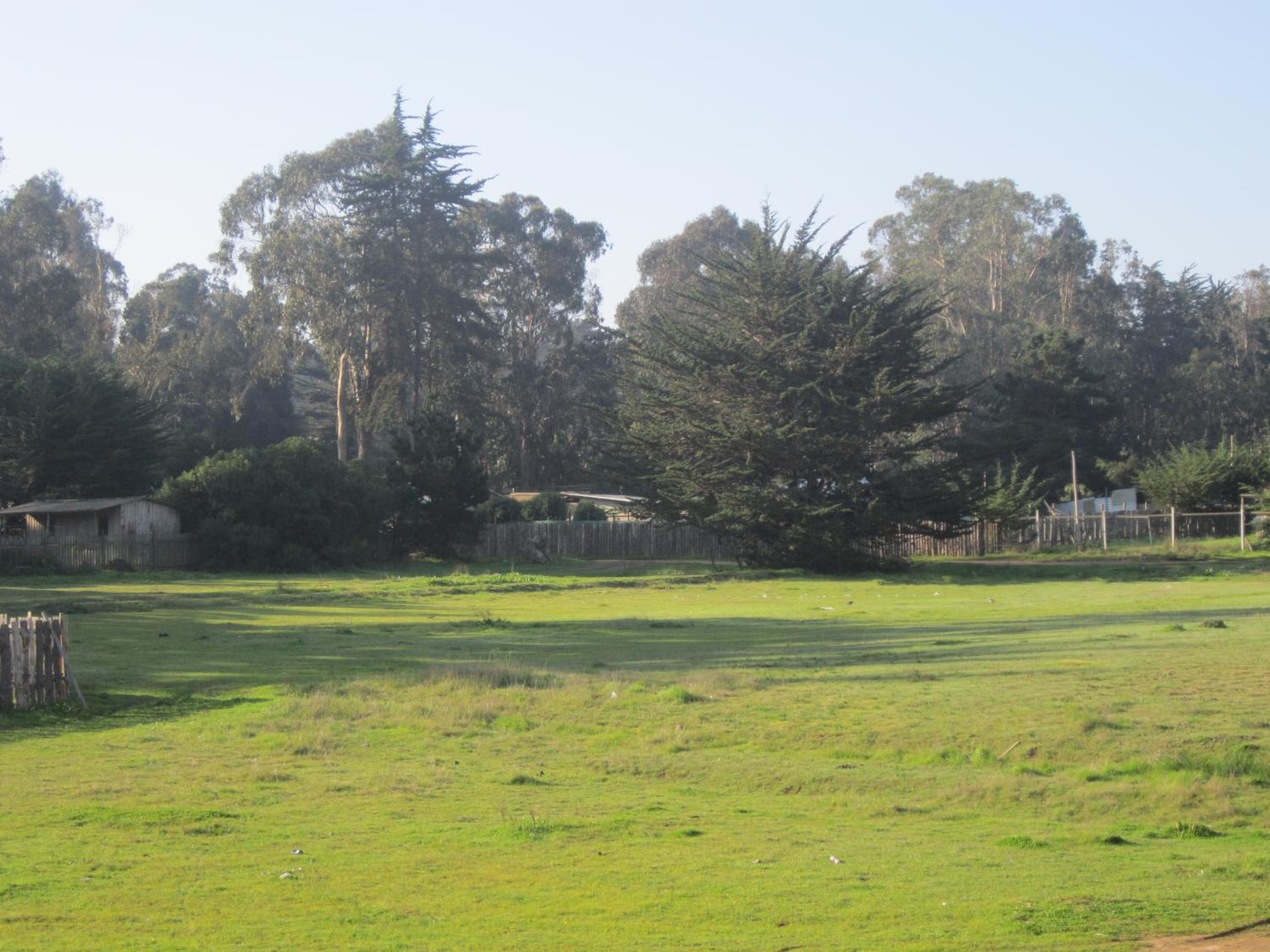 Cabañas Tu Bosque, photo 20