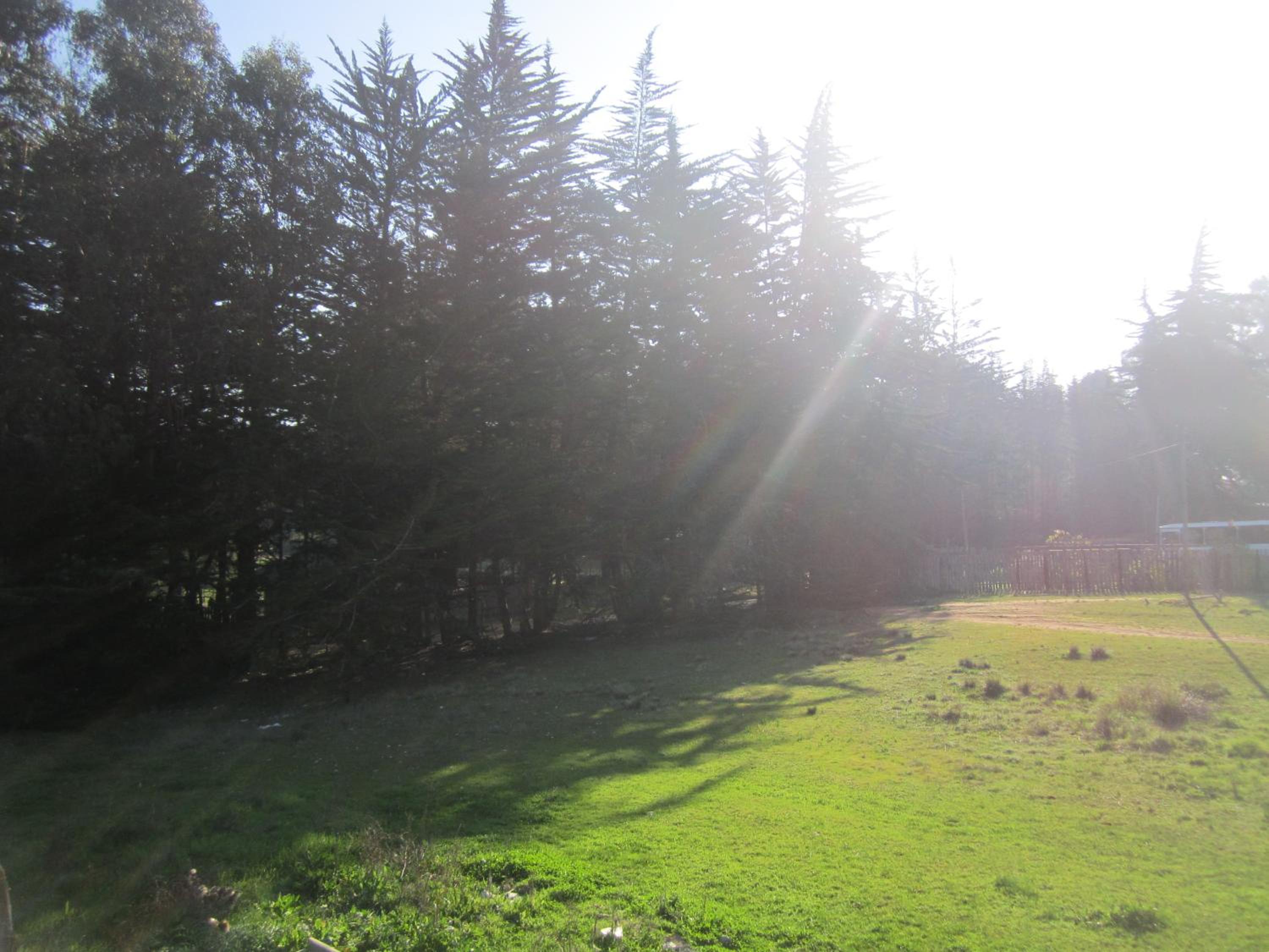 Cabañas Tu Bosque, photo 24