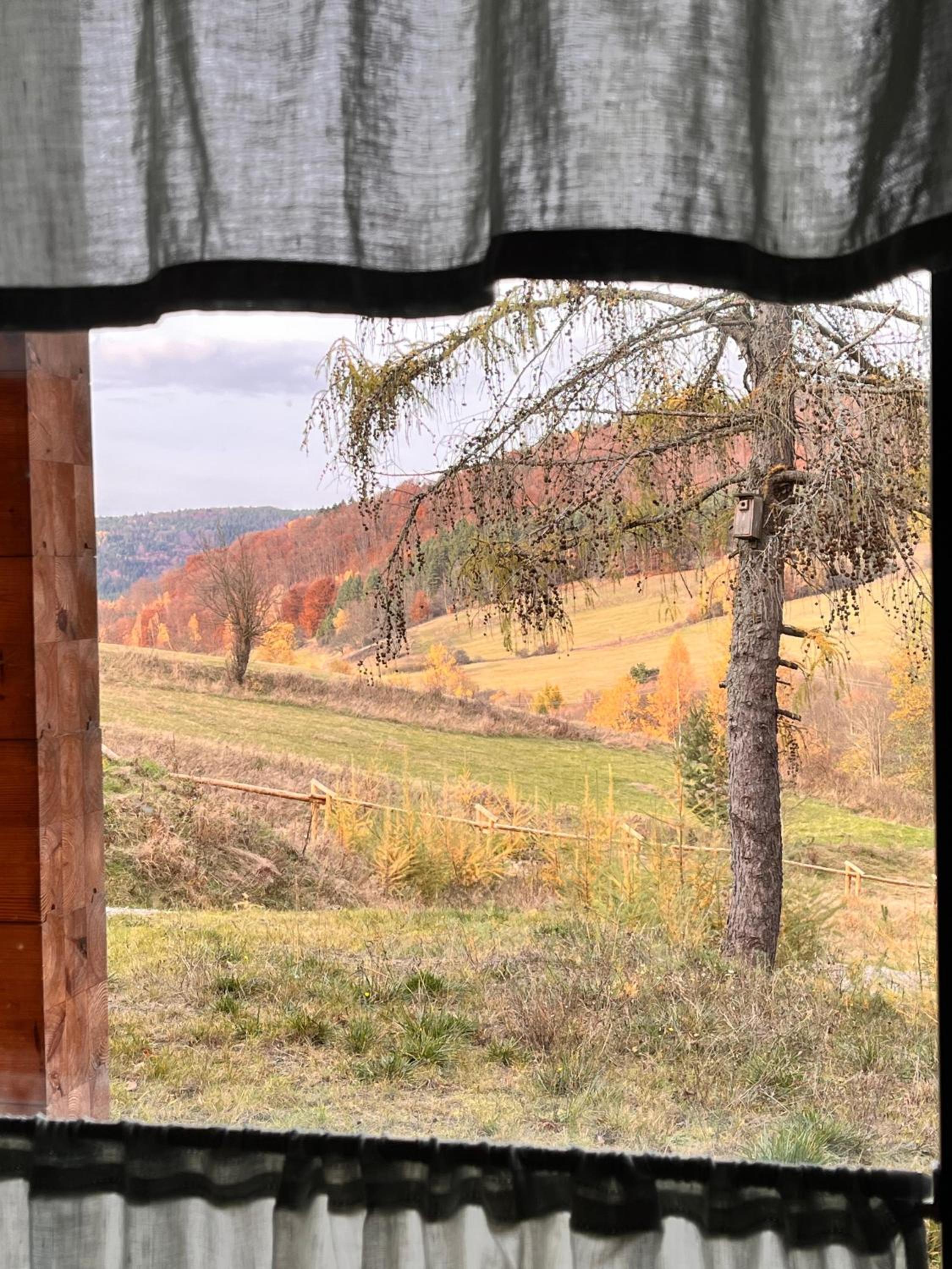 Pod Kątem Ostrym