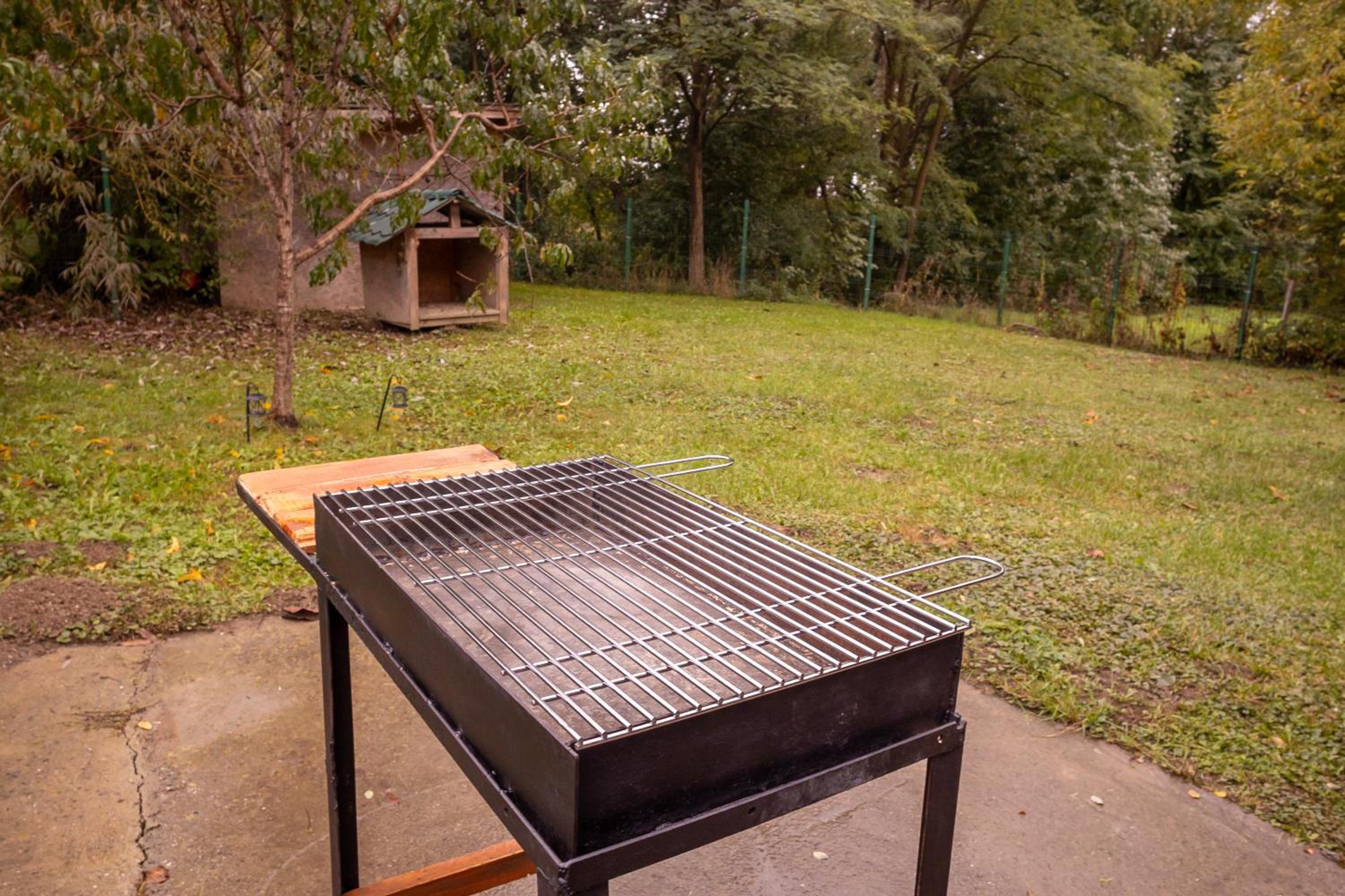 Cabana Walter Curtea de Arges with BBQ and Garden