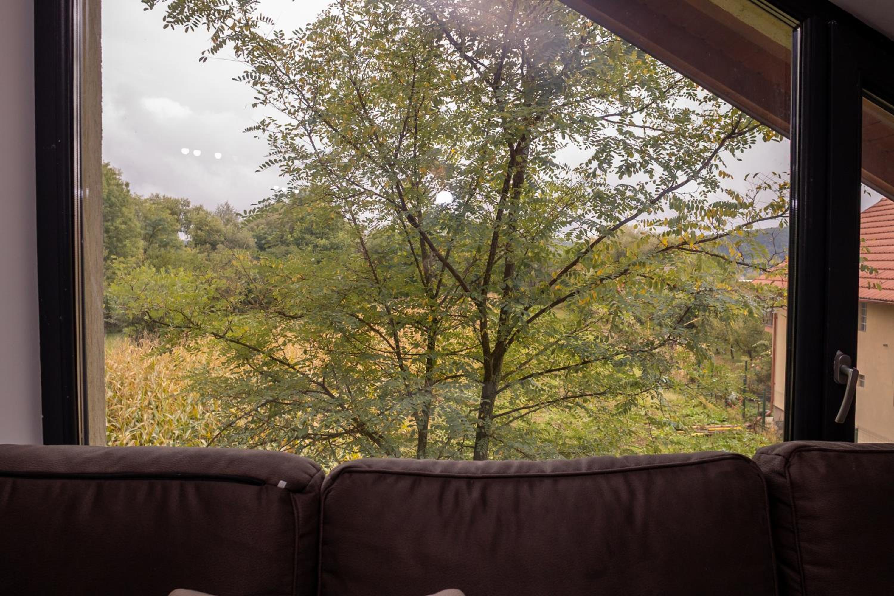 Cabana Walter Curtea de Arges with BBQ and Garden